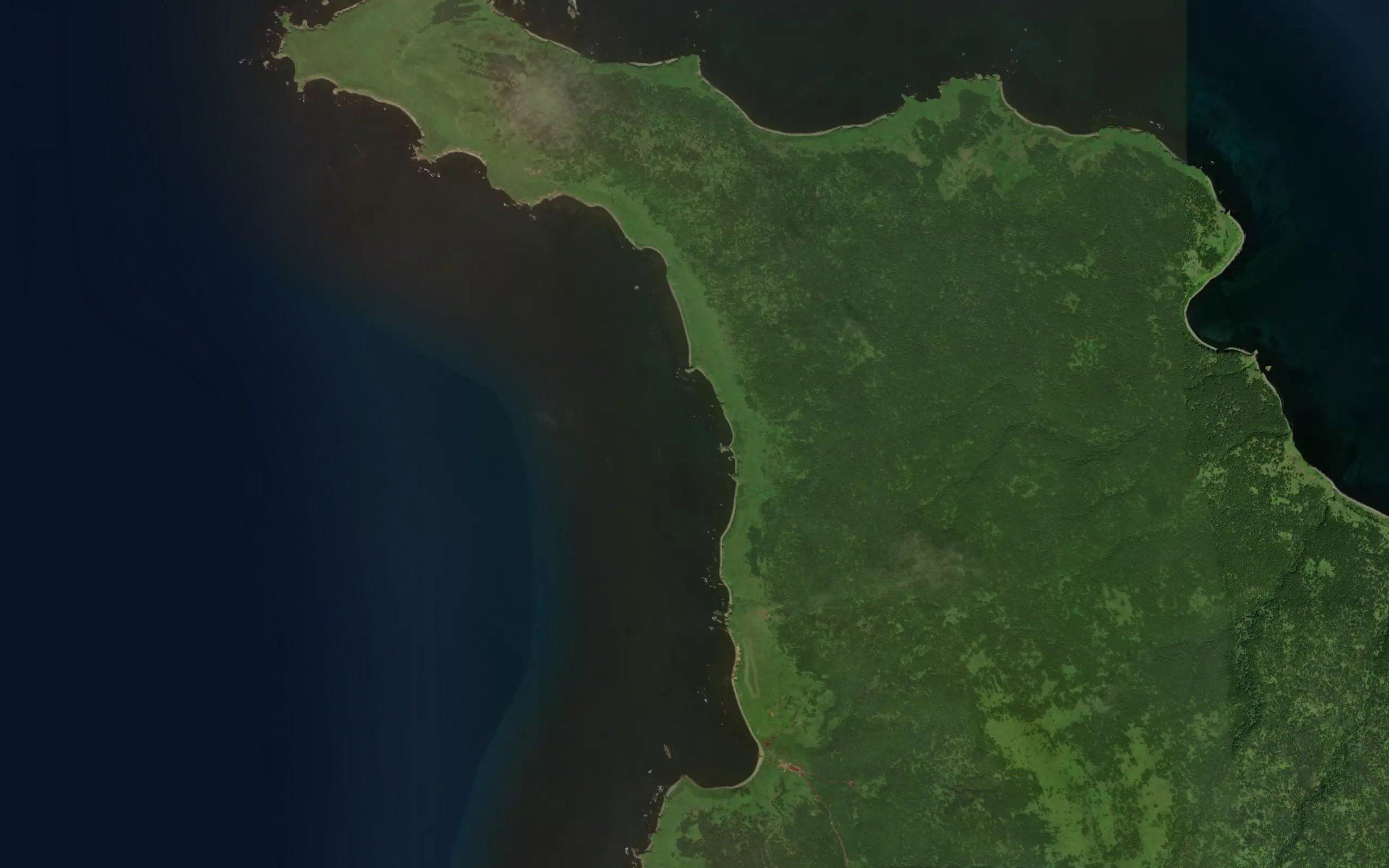 Kotankeshimoi Gyojo