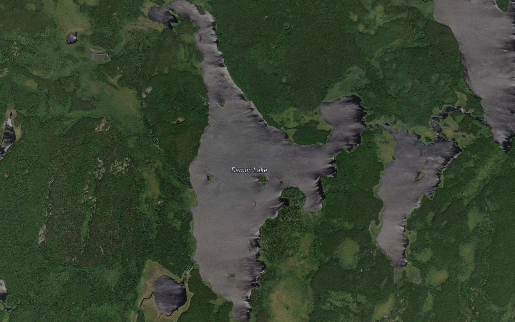 Satellite map of the Damon Lake