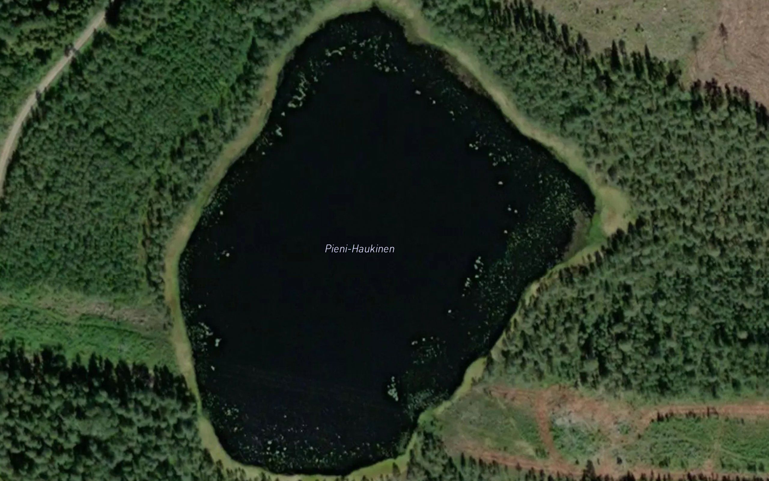 Pieni-Haukinen