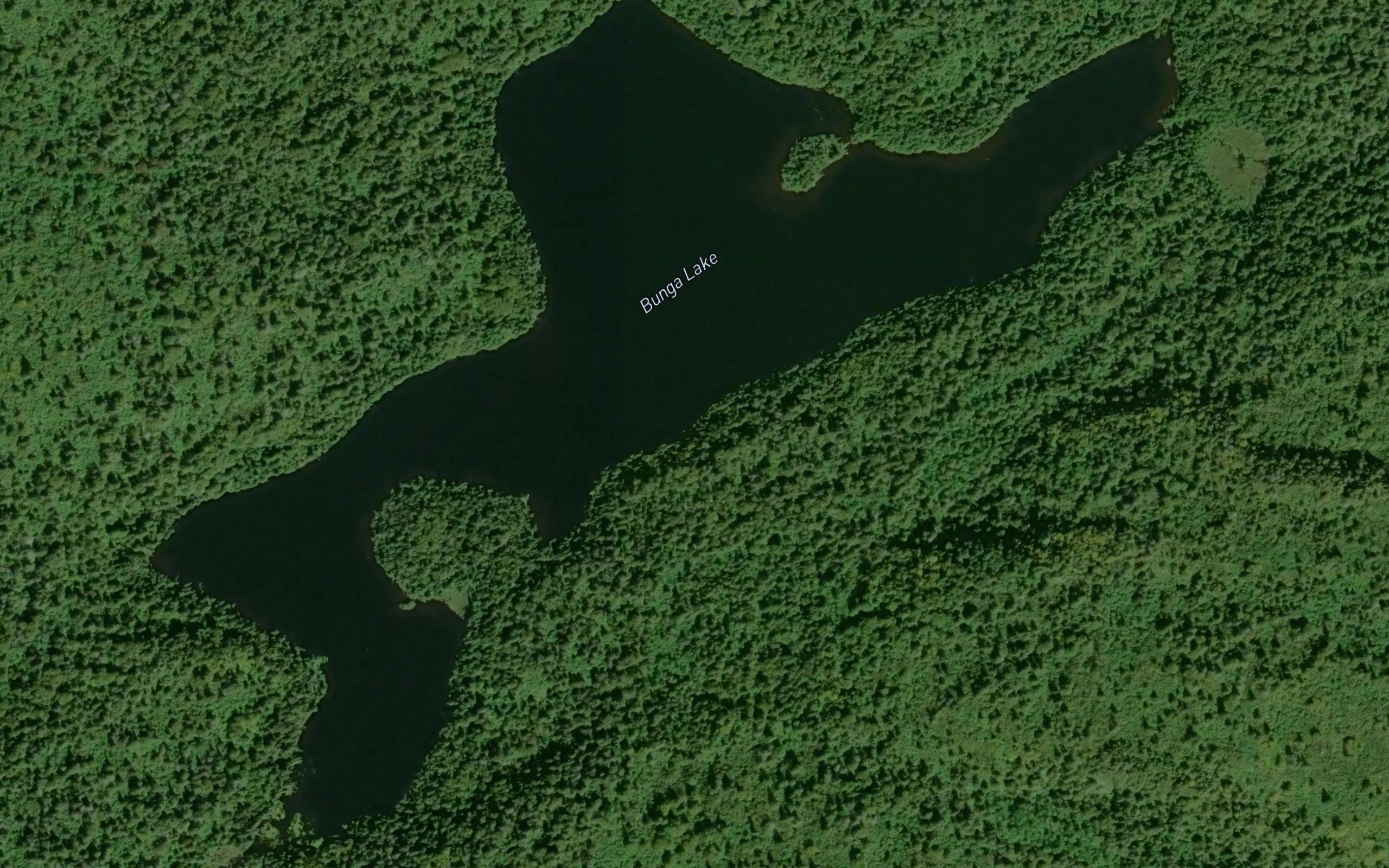 Bunga Lake