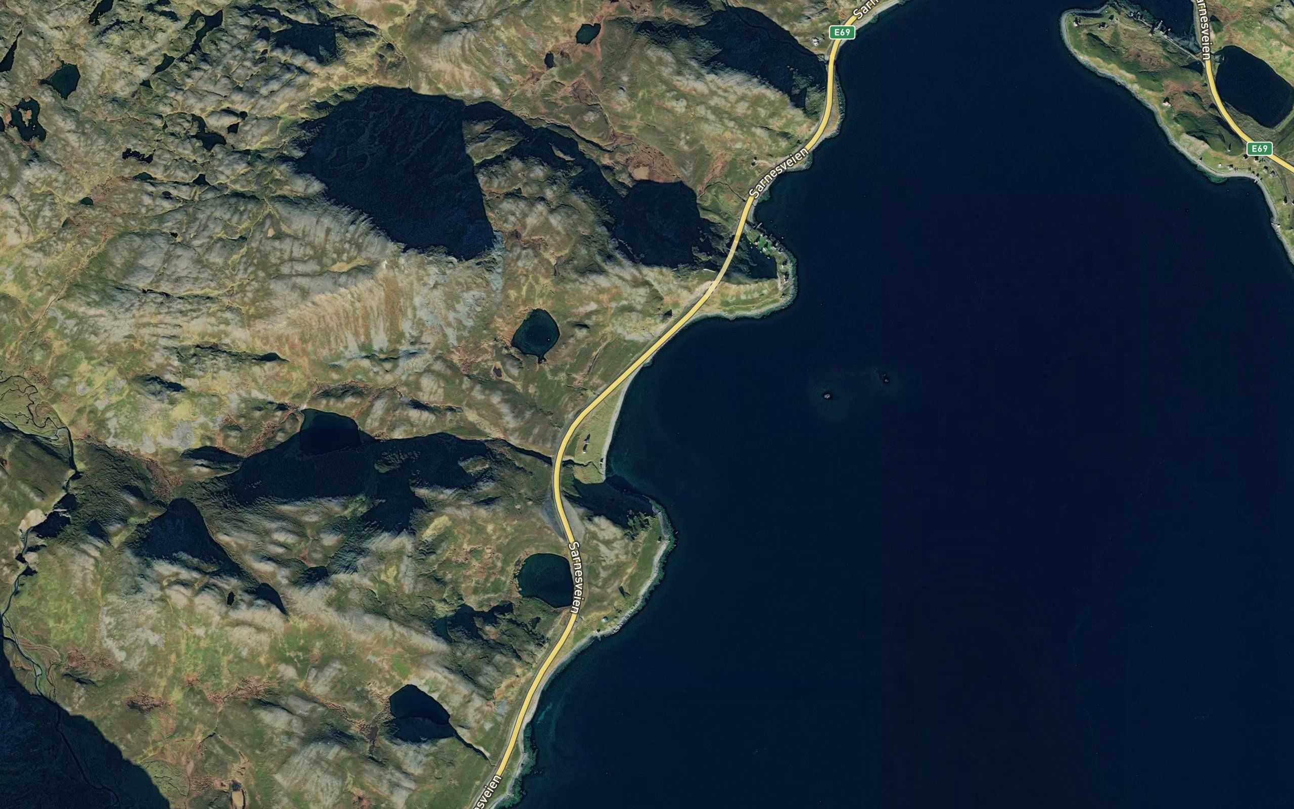 Studentervika