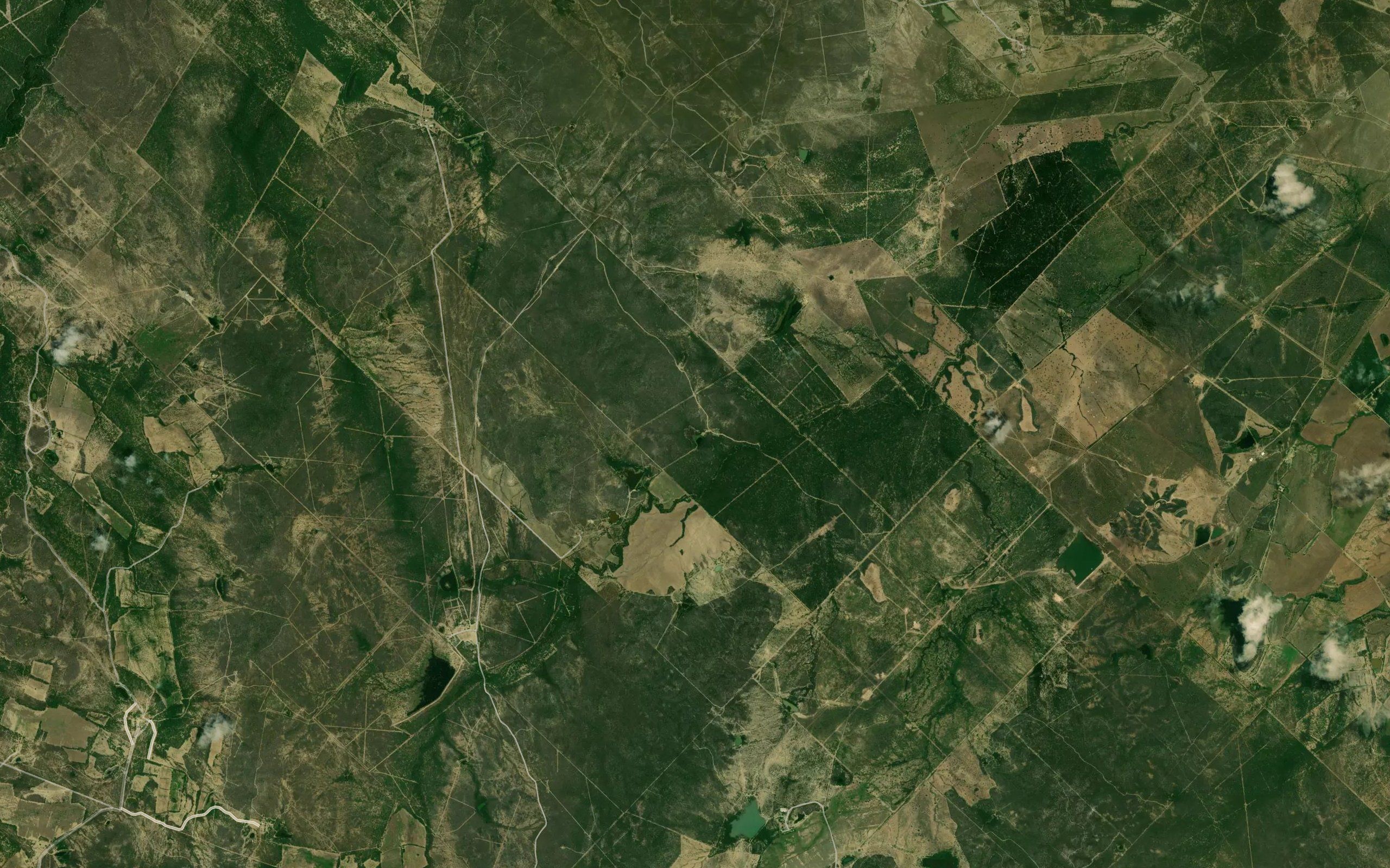 La Parrita