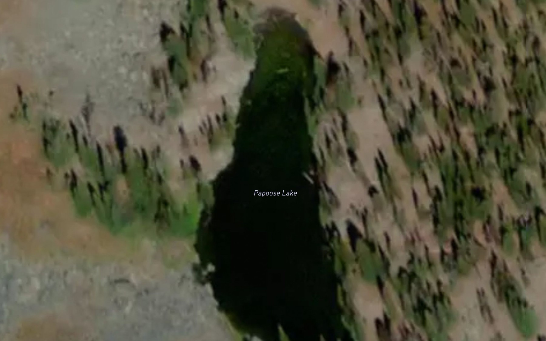Satellite map of the Papoose Lake