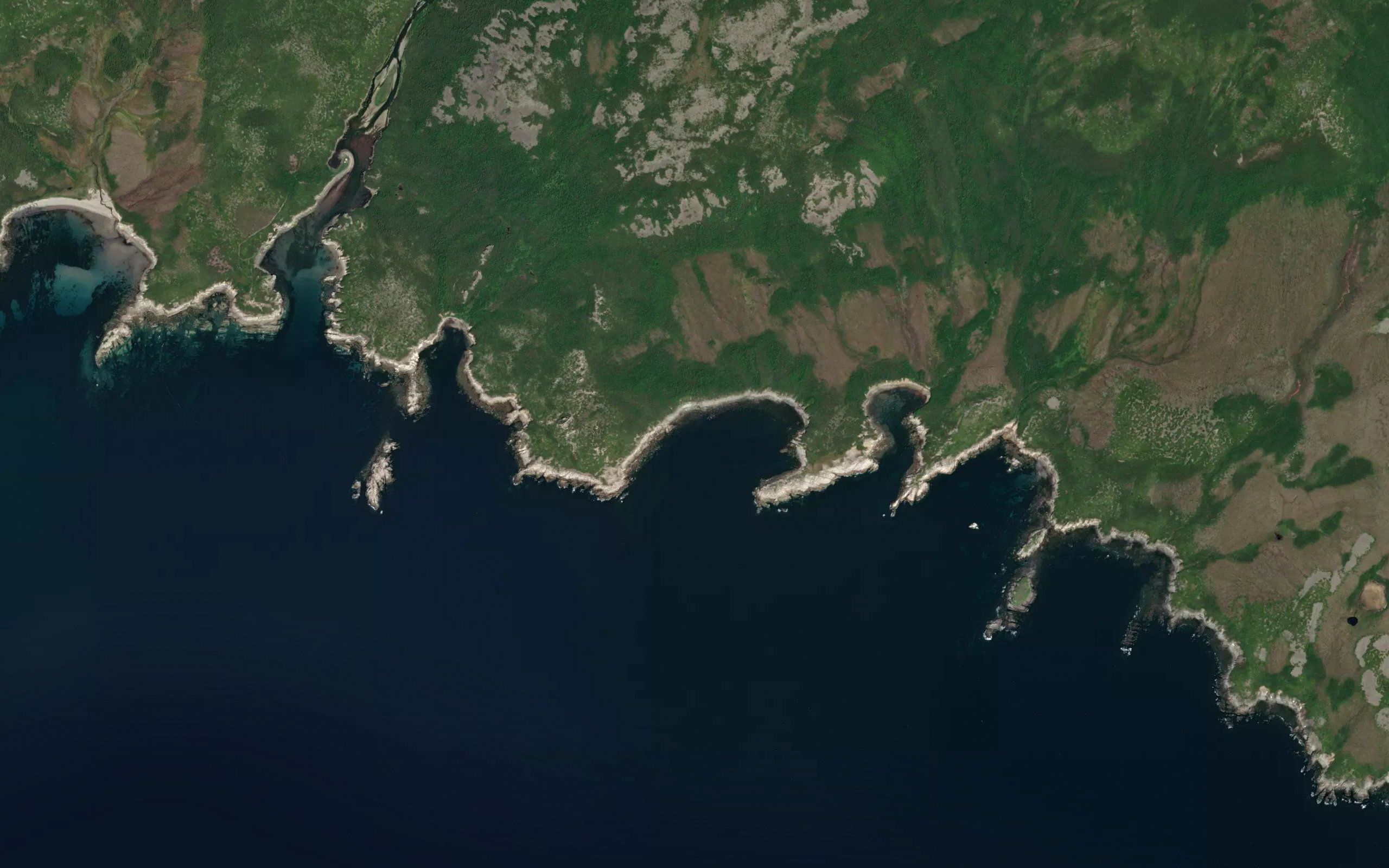 Bukhta Kuliki