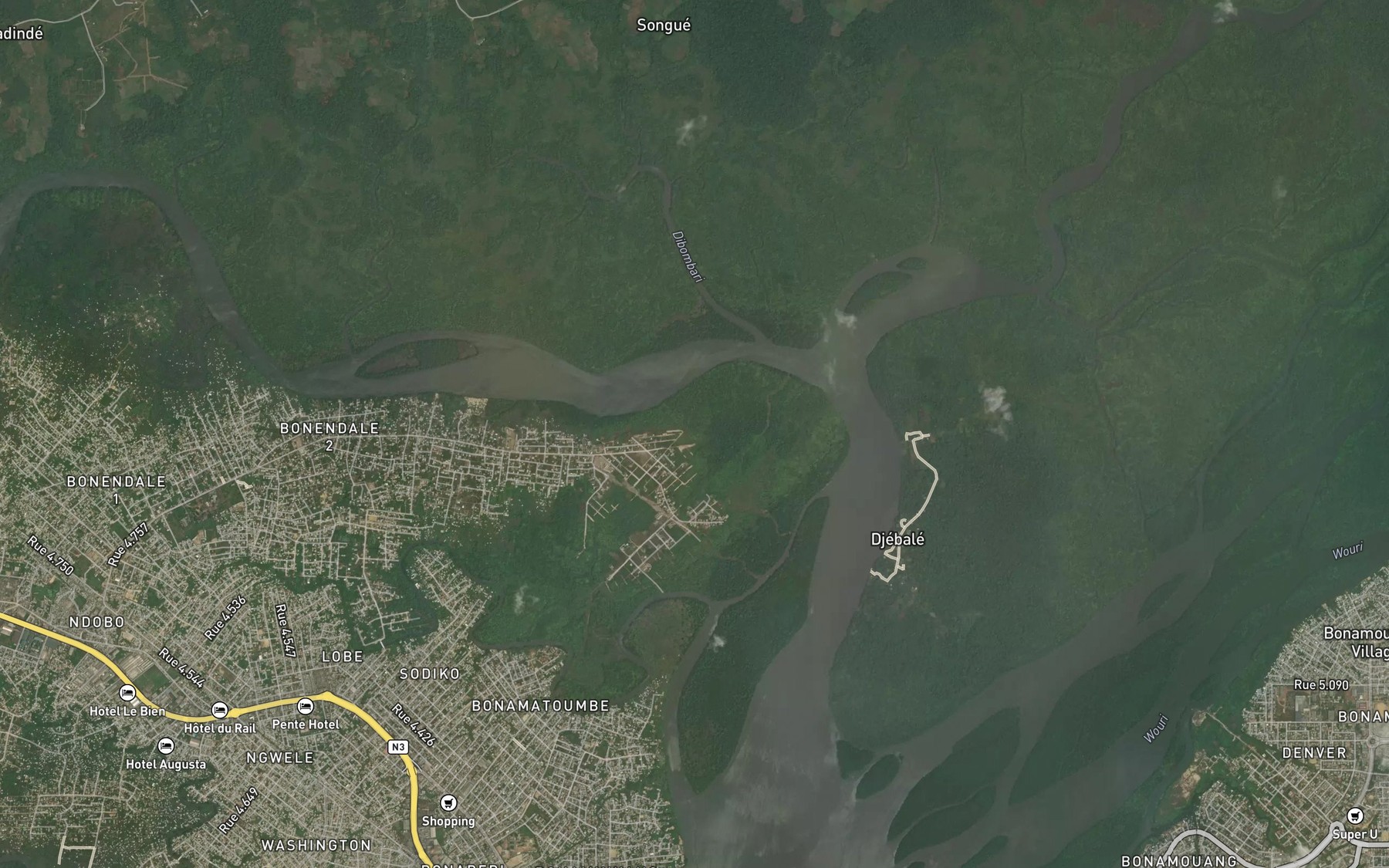 Satellite map of the Crique Bombare