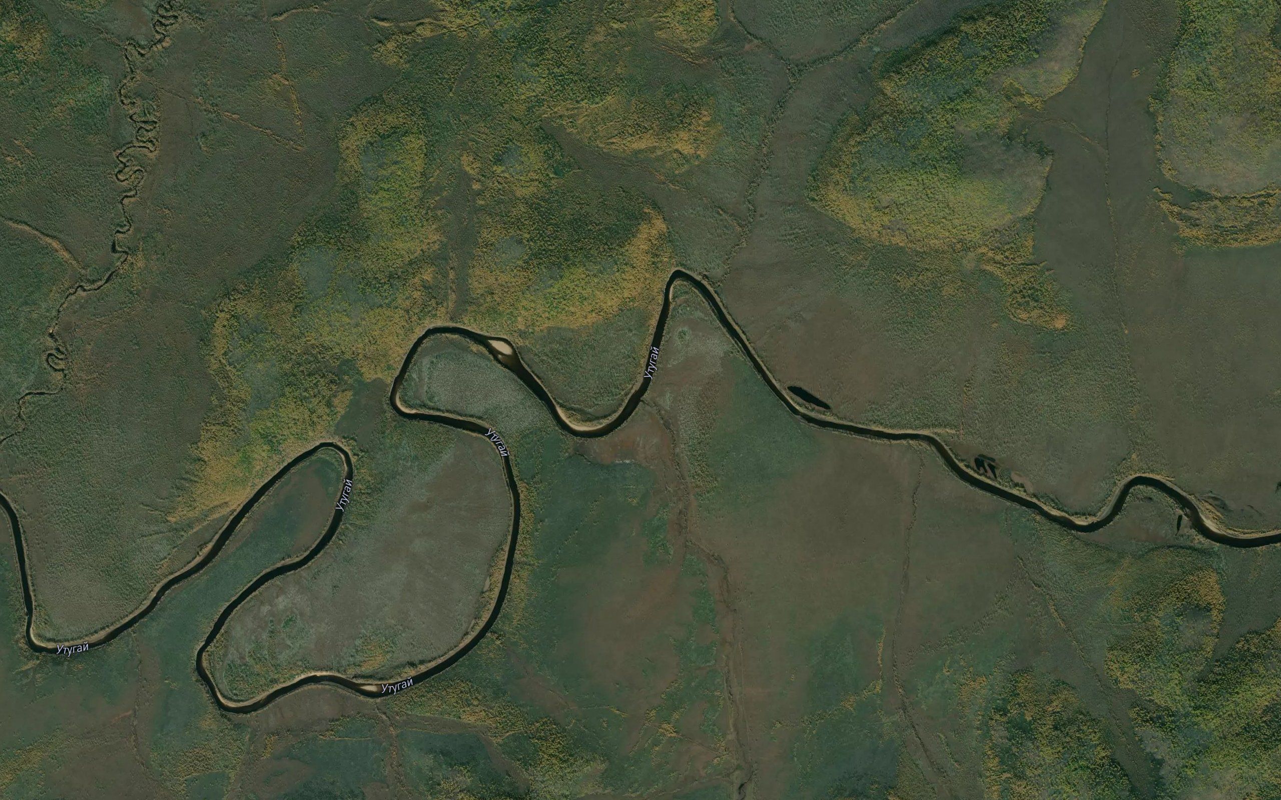 Tutaulmakit