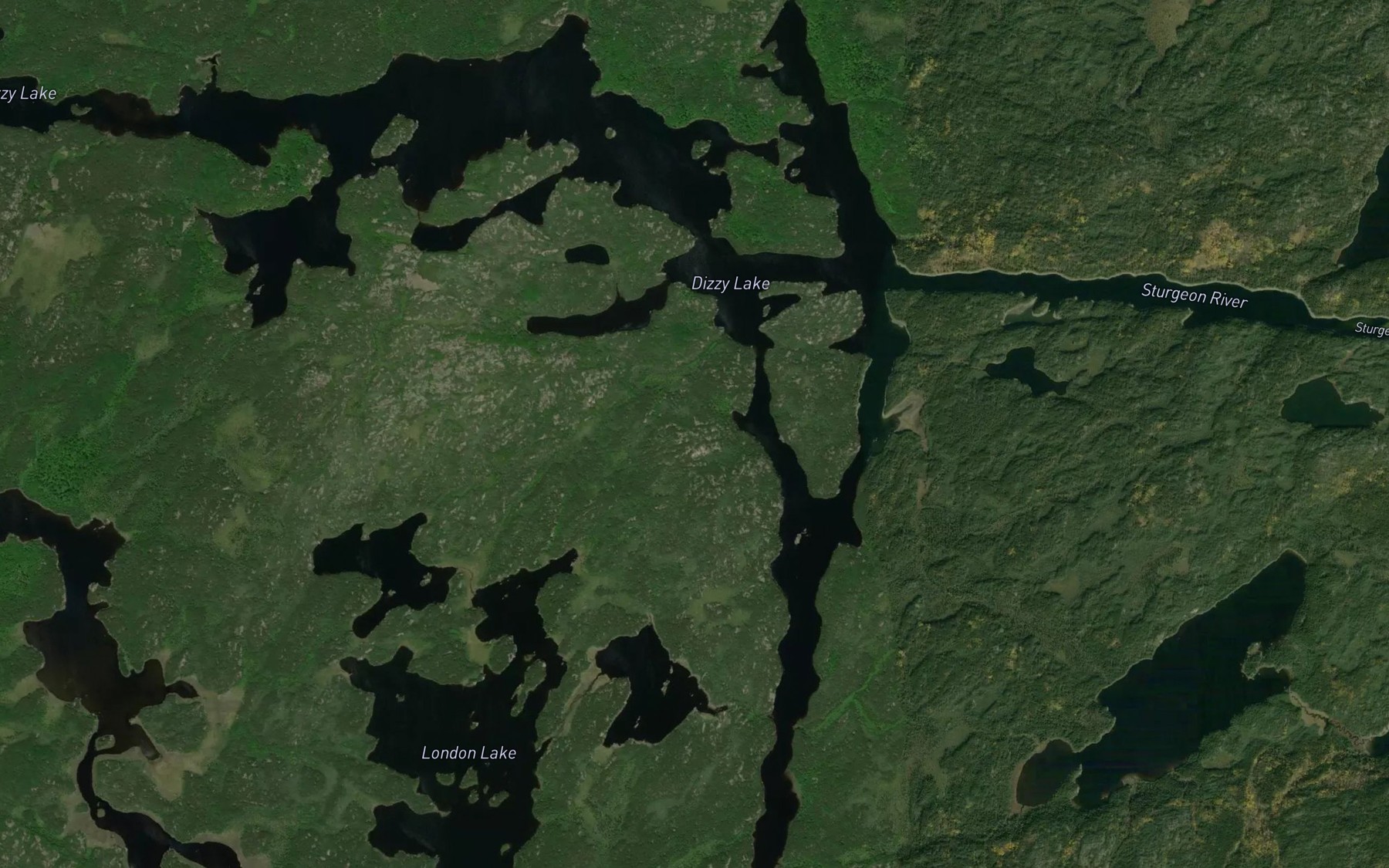 Satellite map of the Dizzy Lake