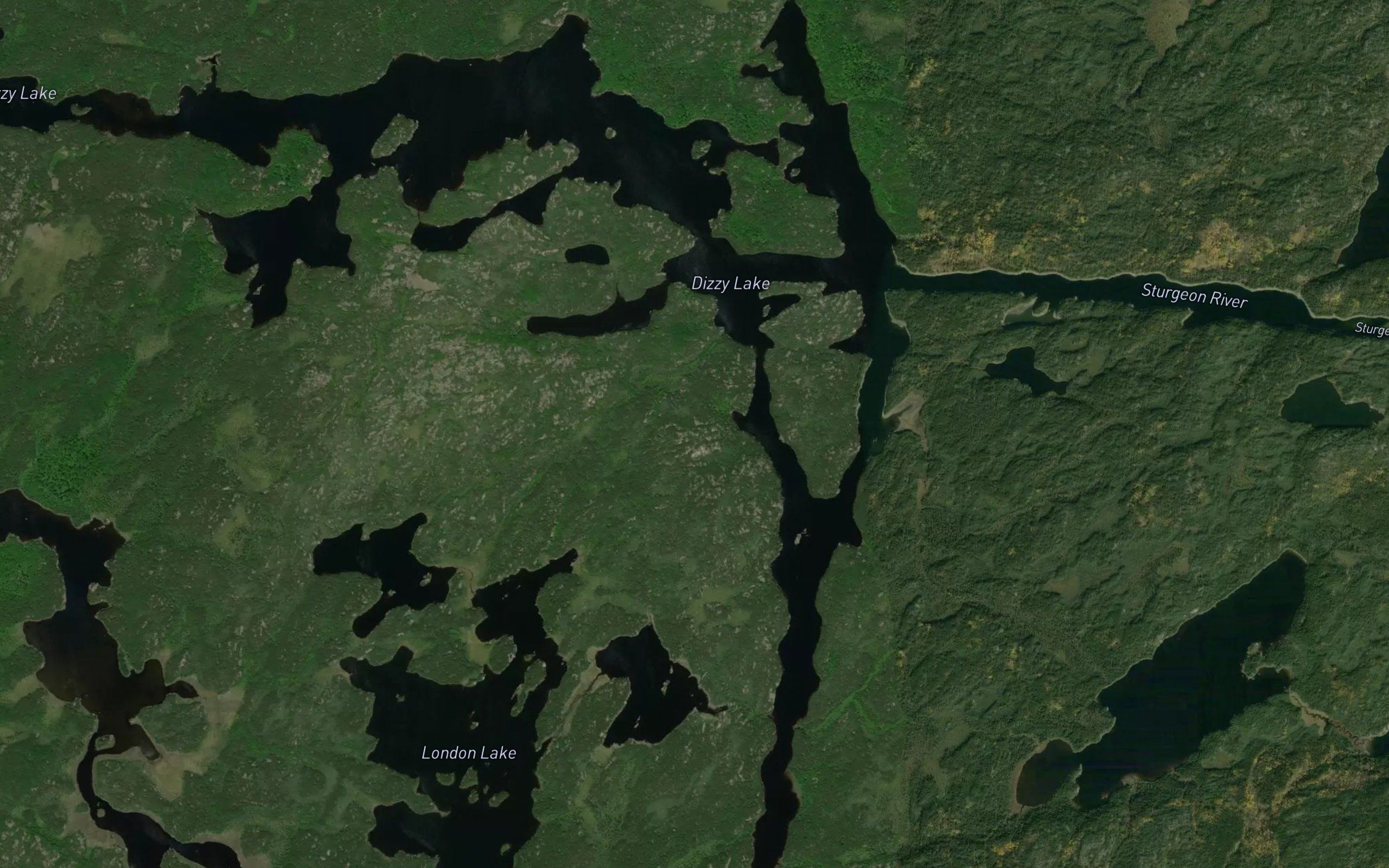 Dizzy Lake