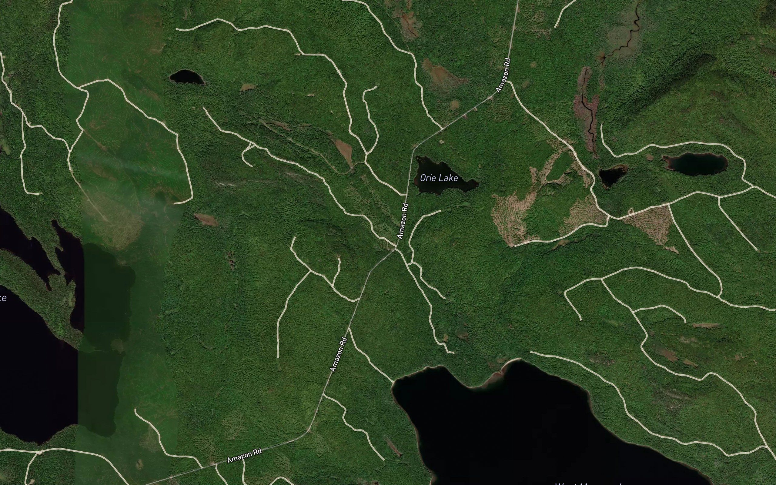 Trout Lake Stream