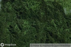 Otarakauwhata Stream