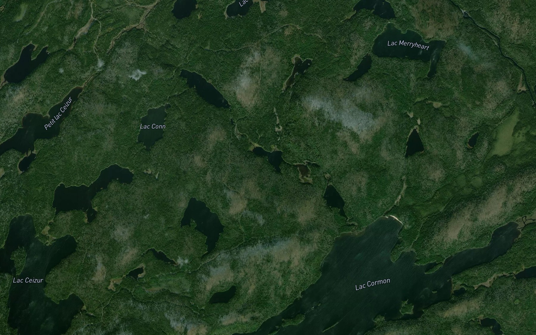 Satellite map of the Lac du Renard Gris