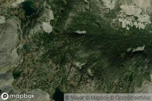 Dead Lakes