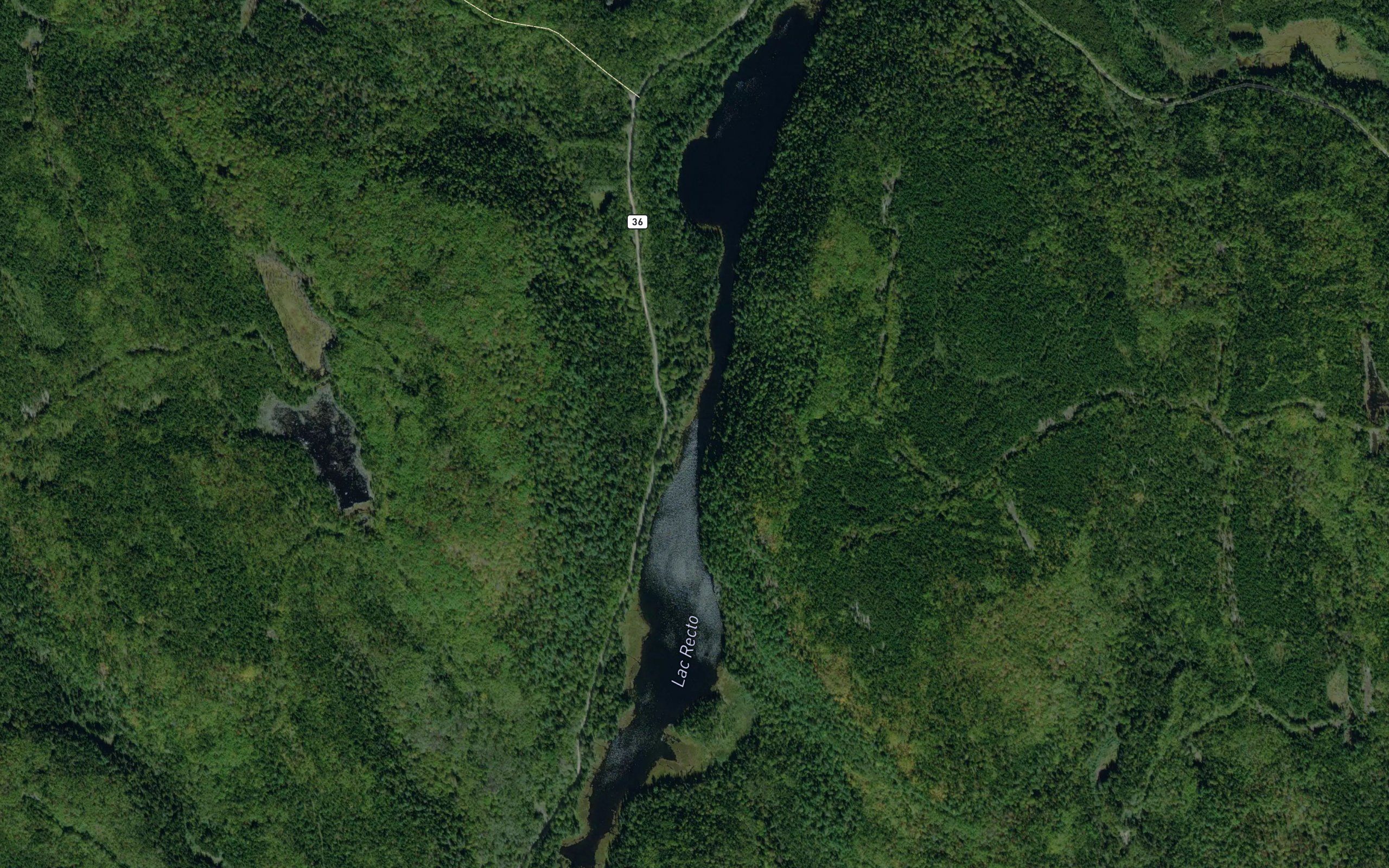 Lac Recto