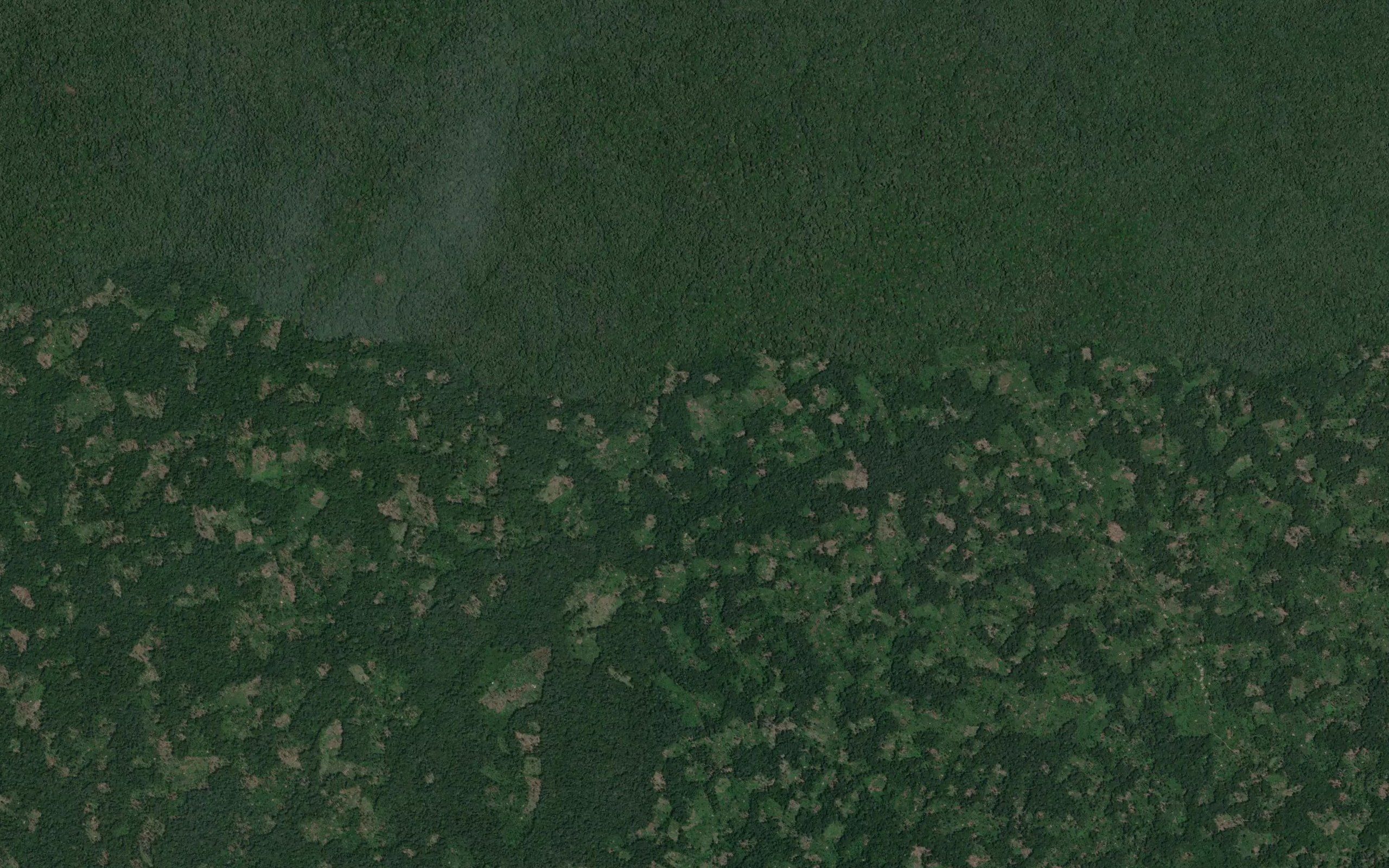 Kungulu