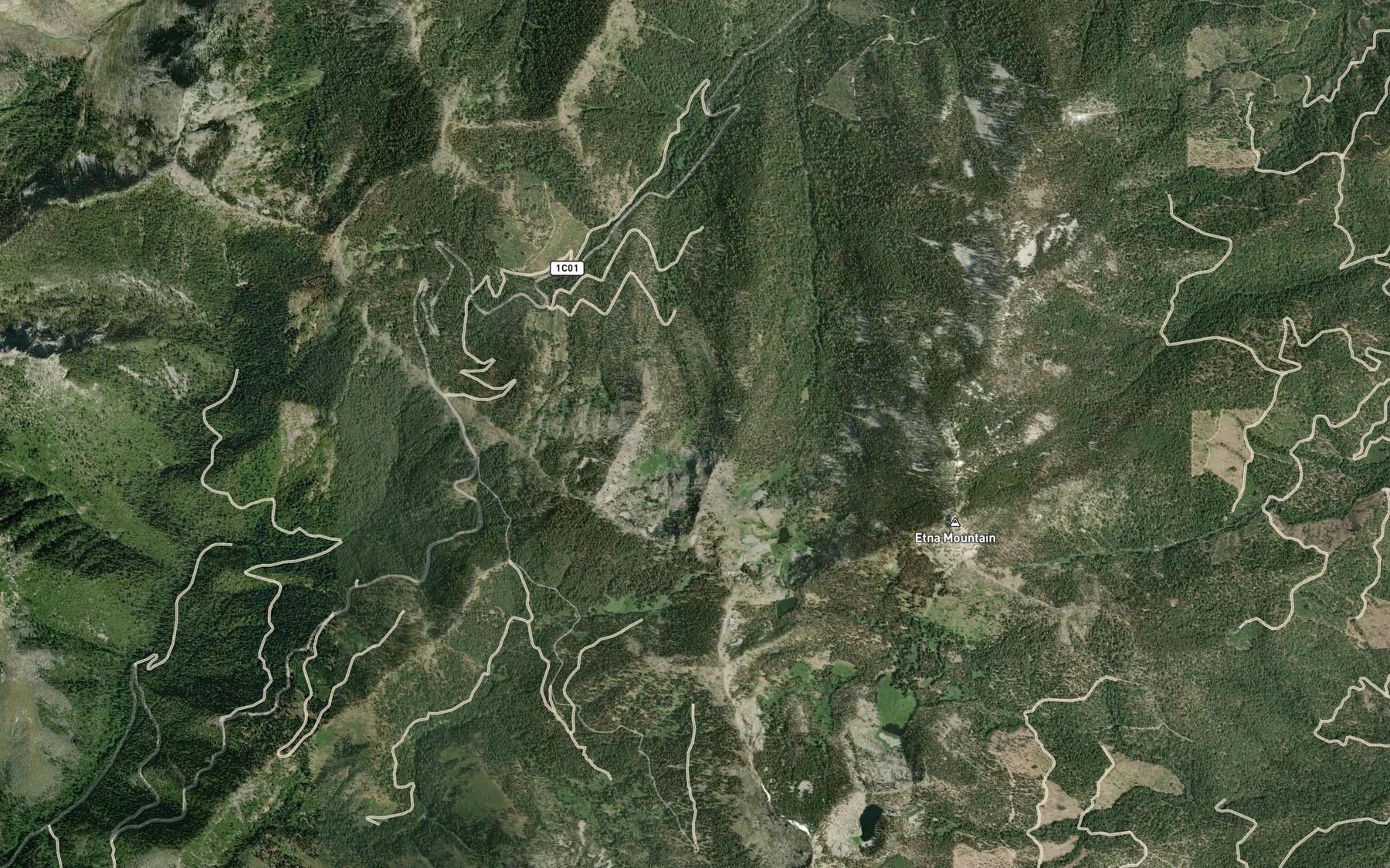 Satellite map of the Wicks Lake