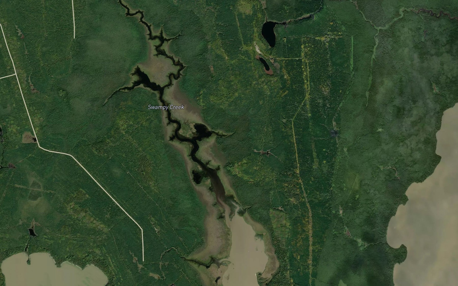 Satellite map of the Swampy Creek