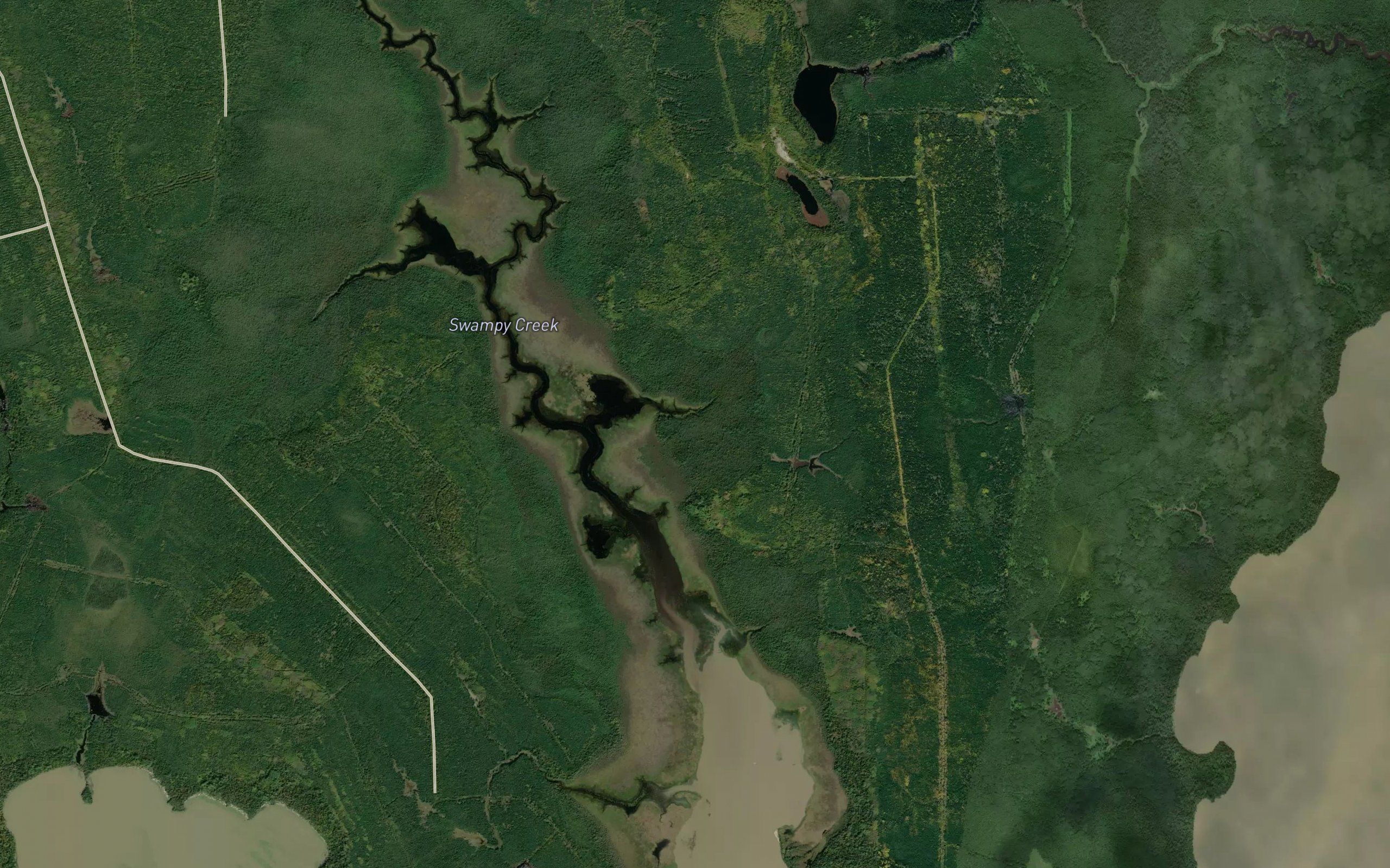 Swampy Creek