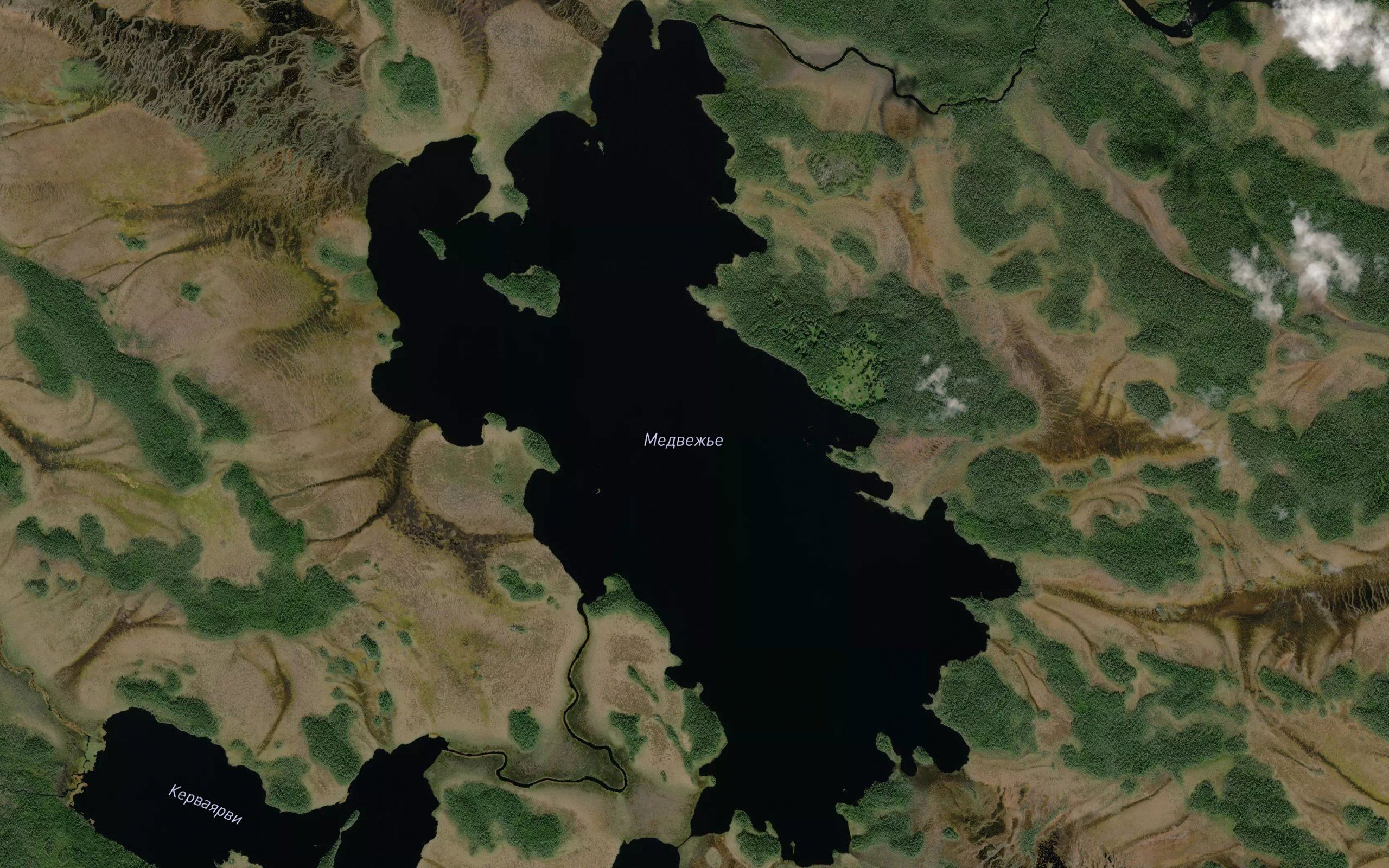 Ozero Medvezh'ye