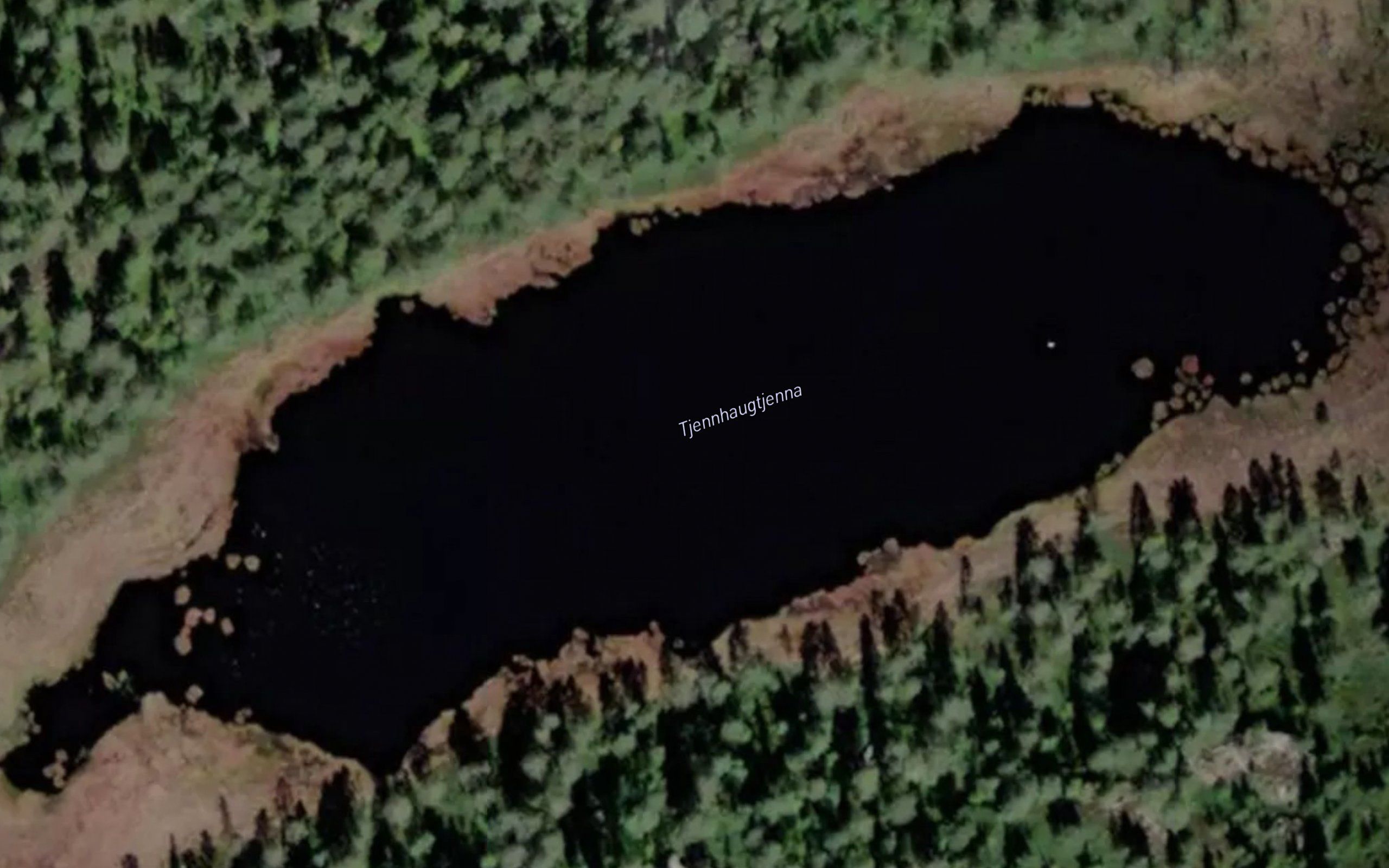 Tjernhaugtjerna