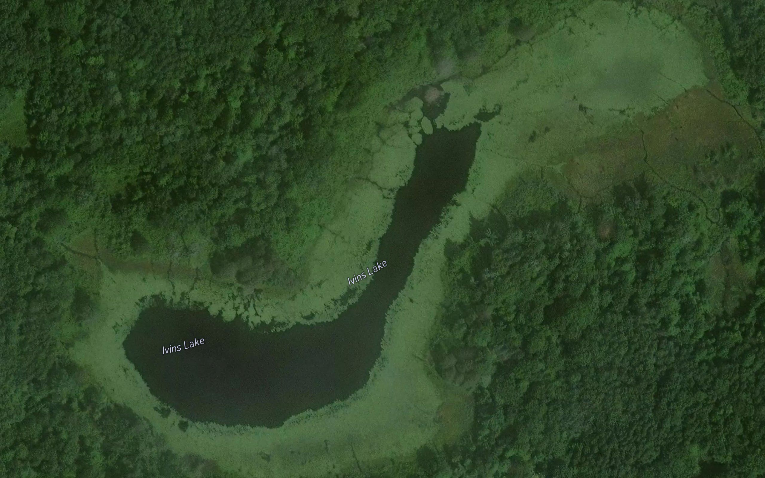 Ivins Lake