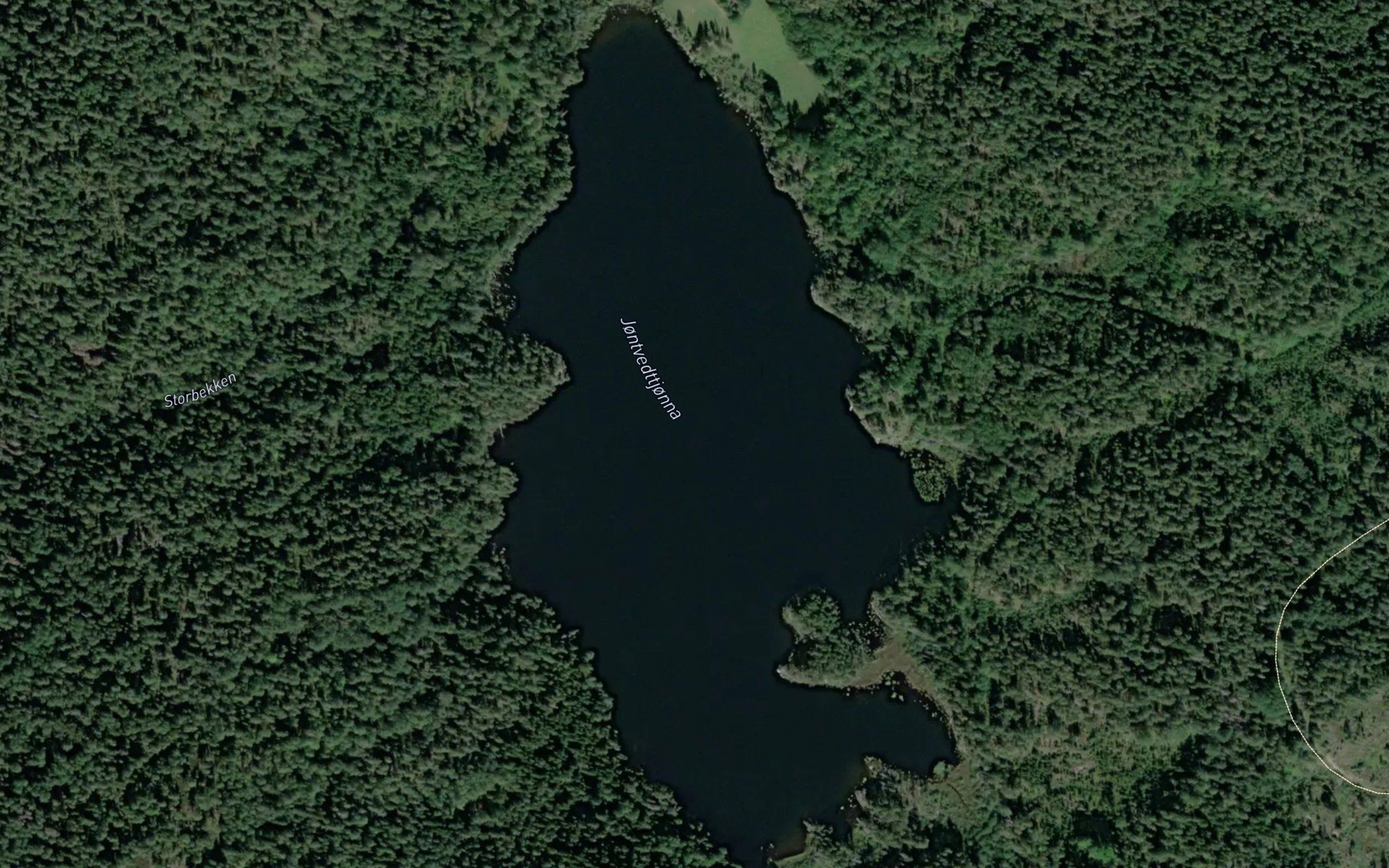 Hjontveittjern