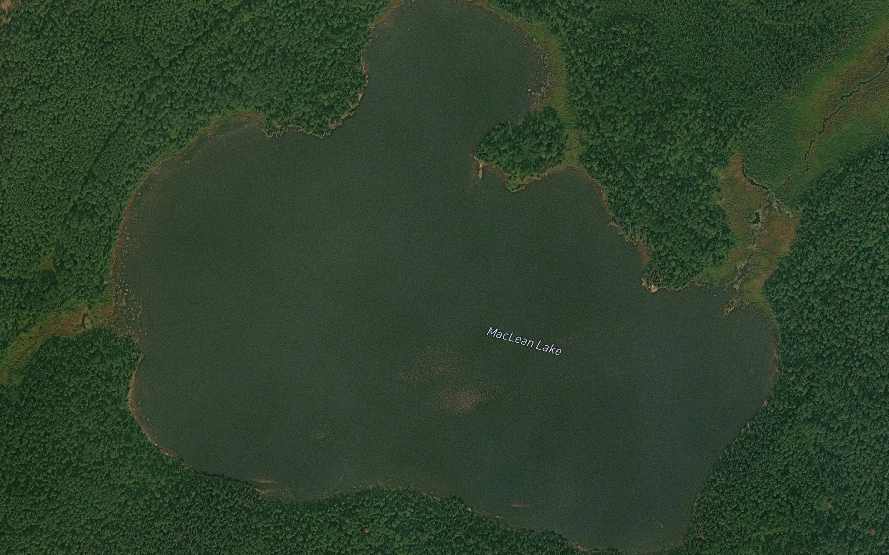 Satellite map of the MacLean Lake