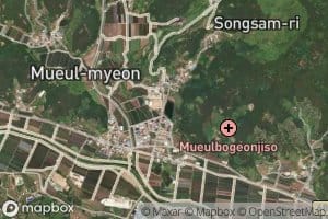 Songsam-mot