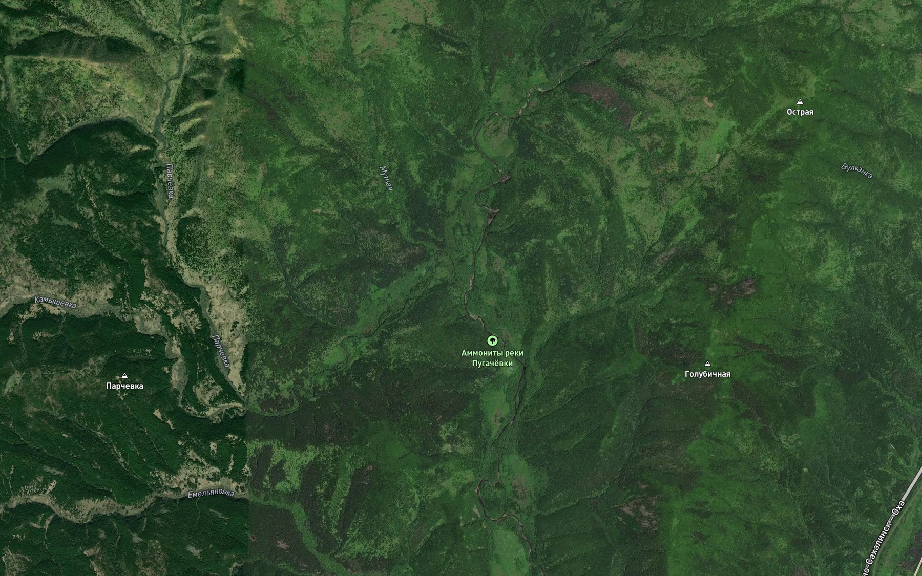 Satellite map of the Kamyshovka