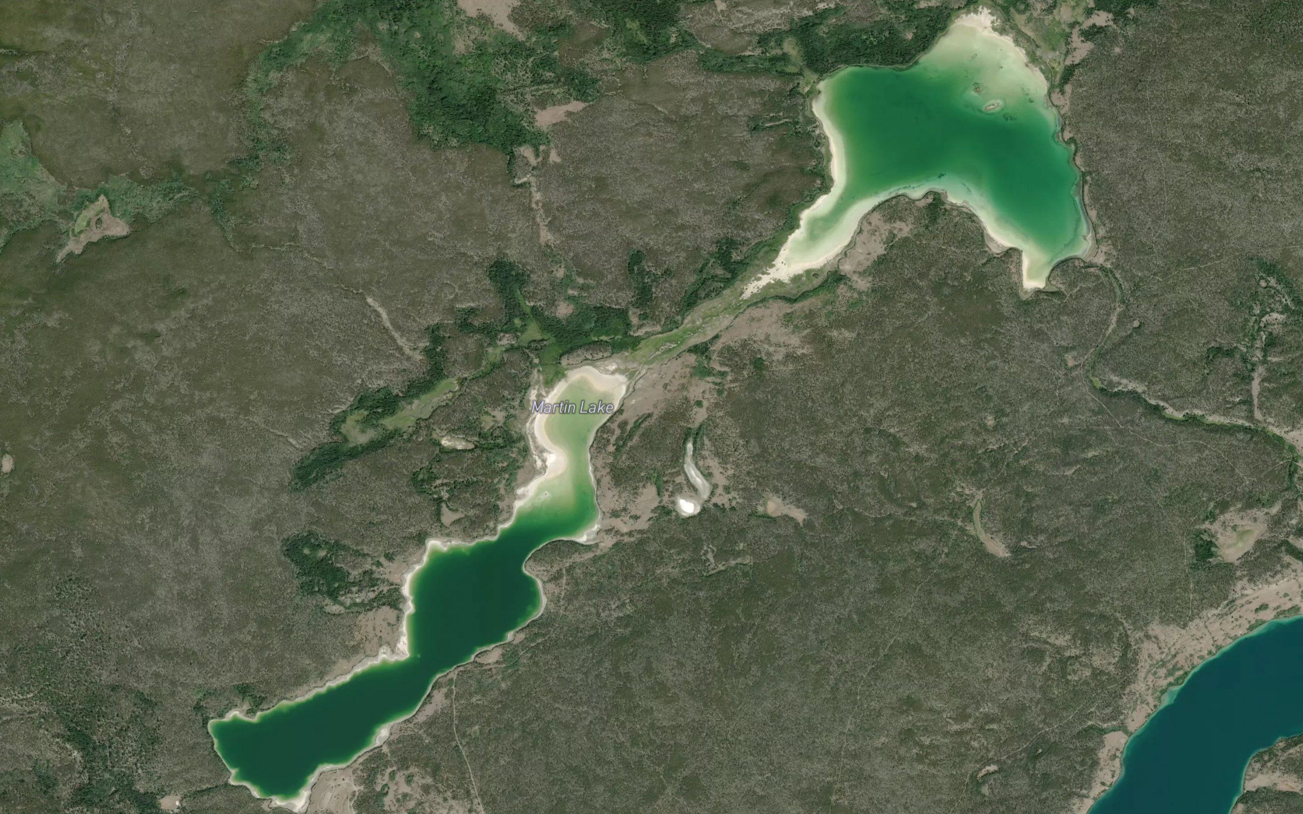 Martin Lake