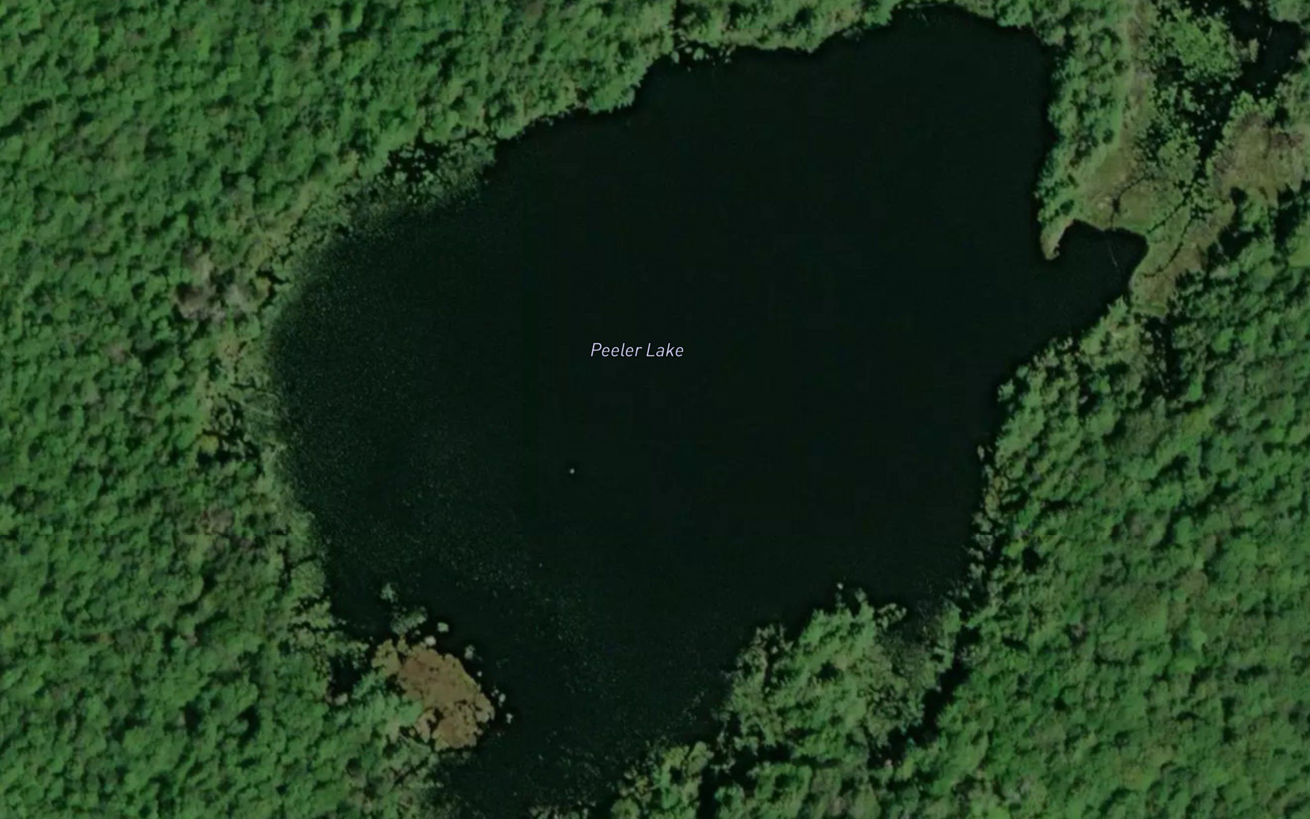 Peeler Lake