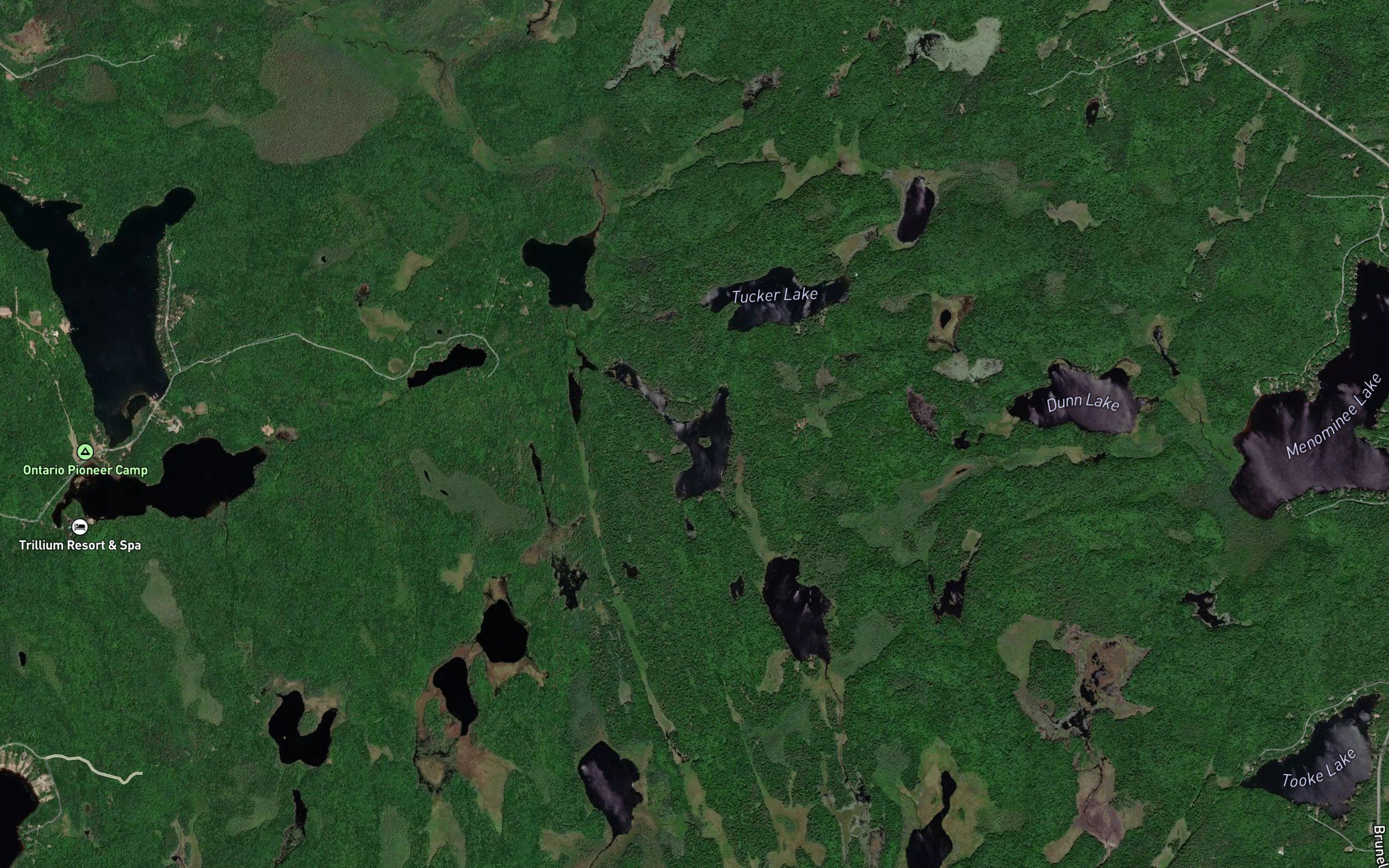 Montgomery Lake