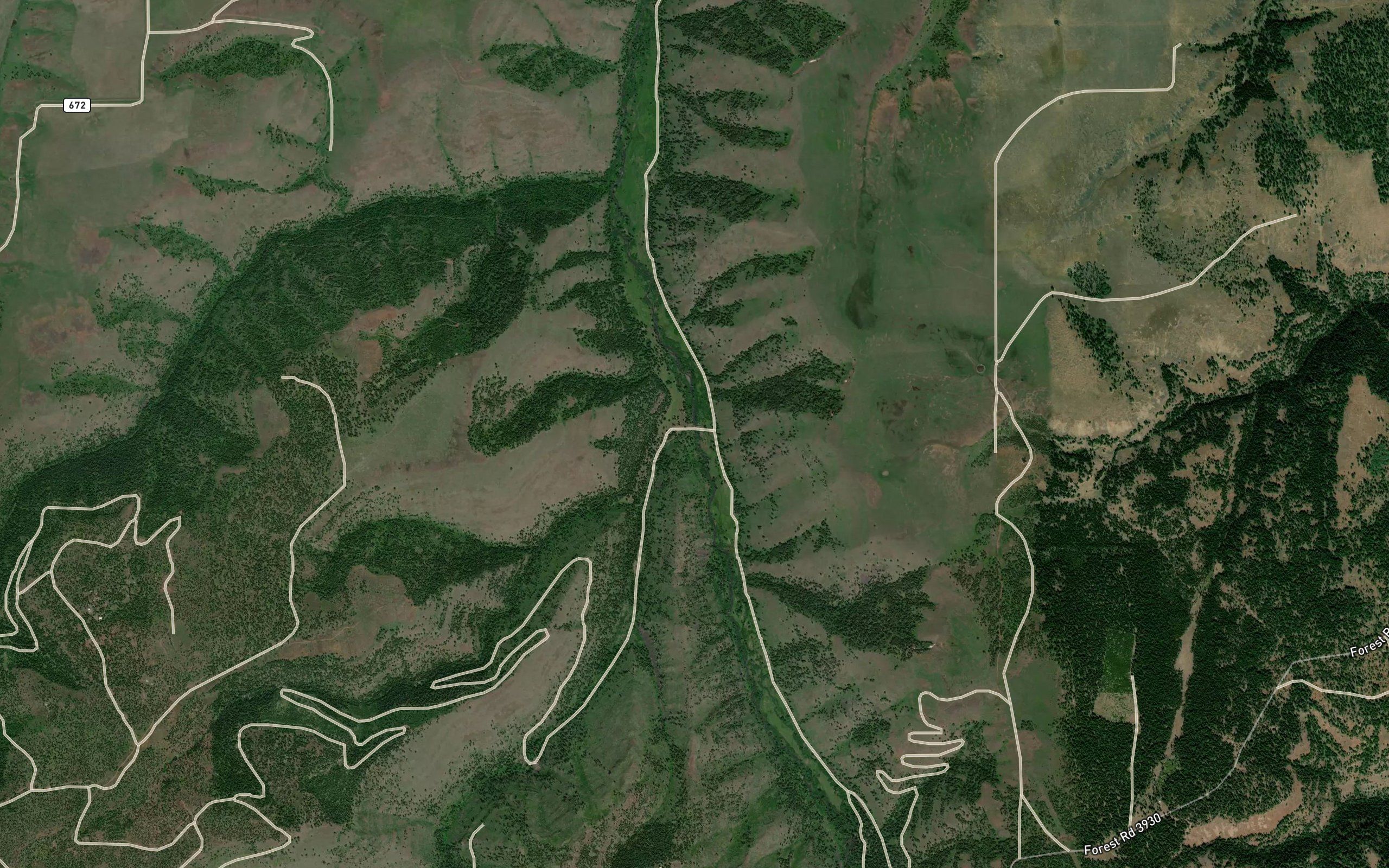 Carrol Creek