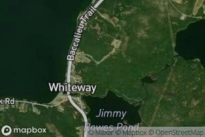 Jimmy Rowes Pond