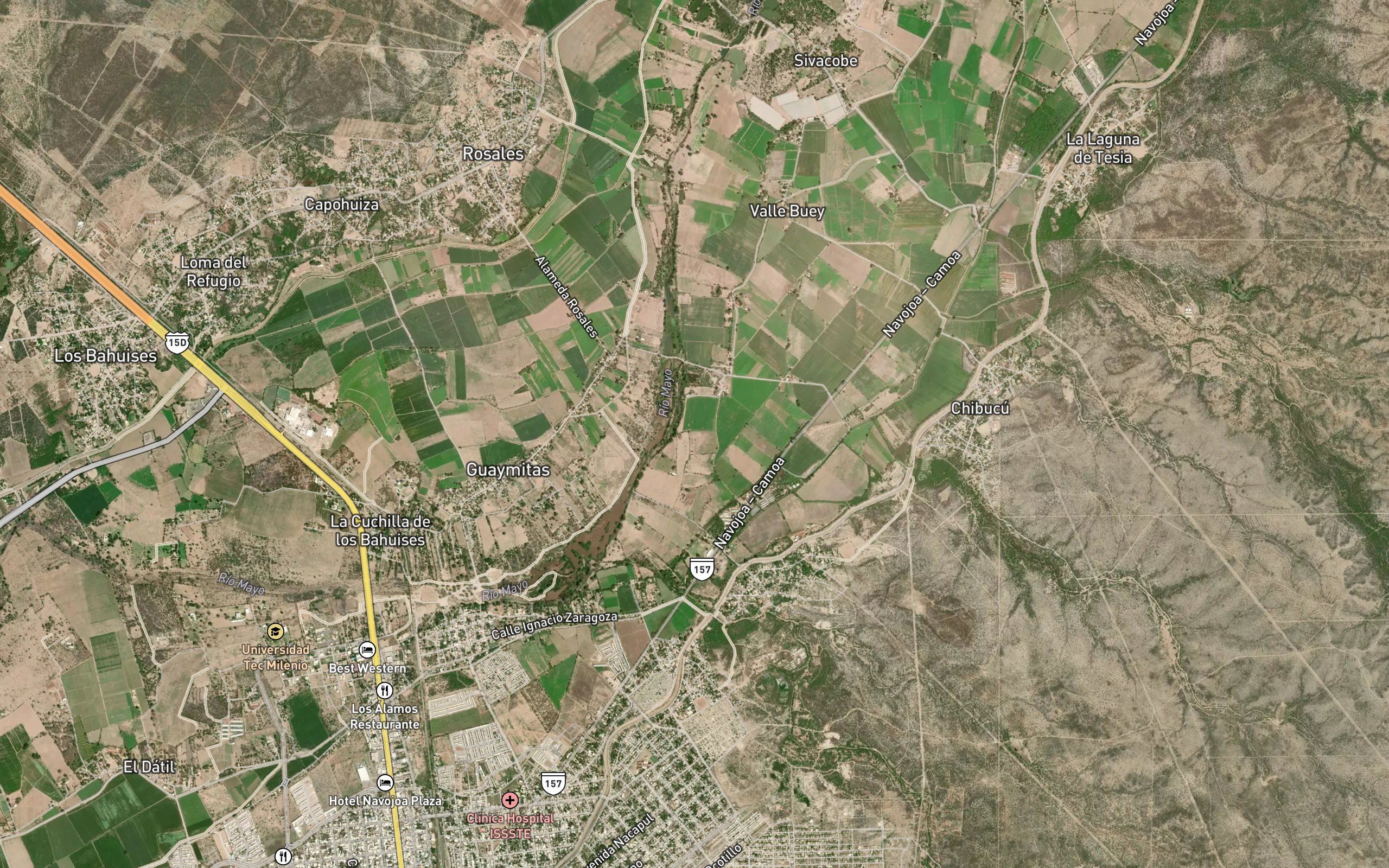 Tetaboca
