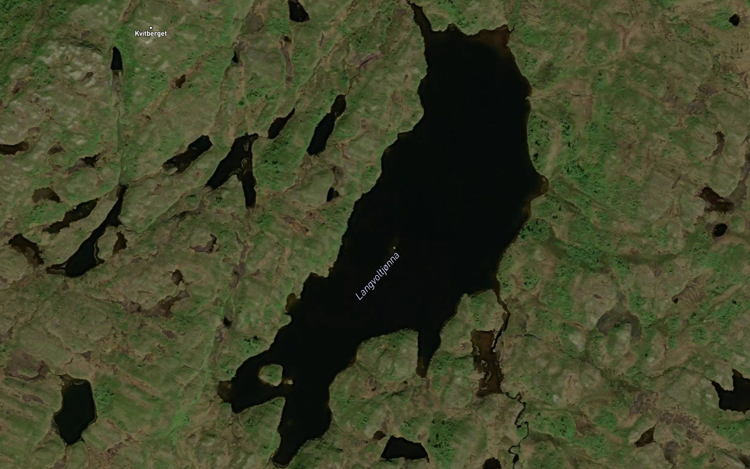 Langvoltjonna