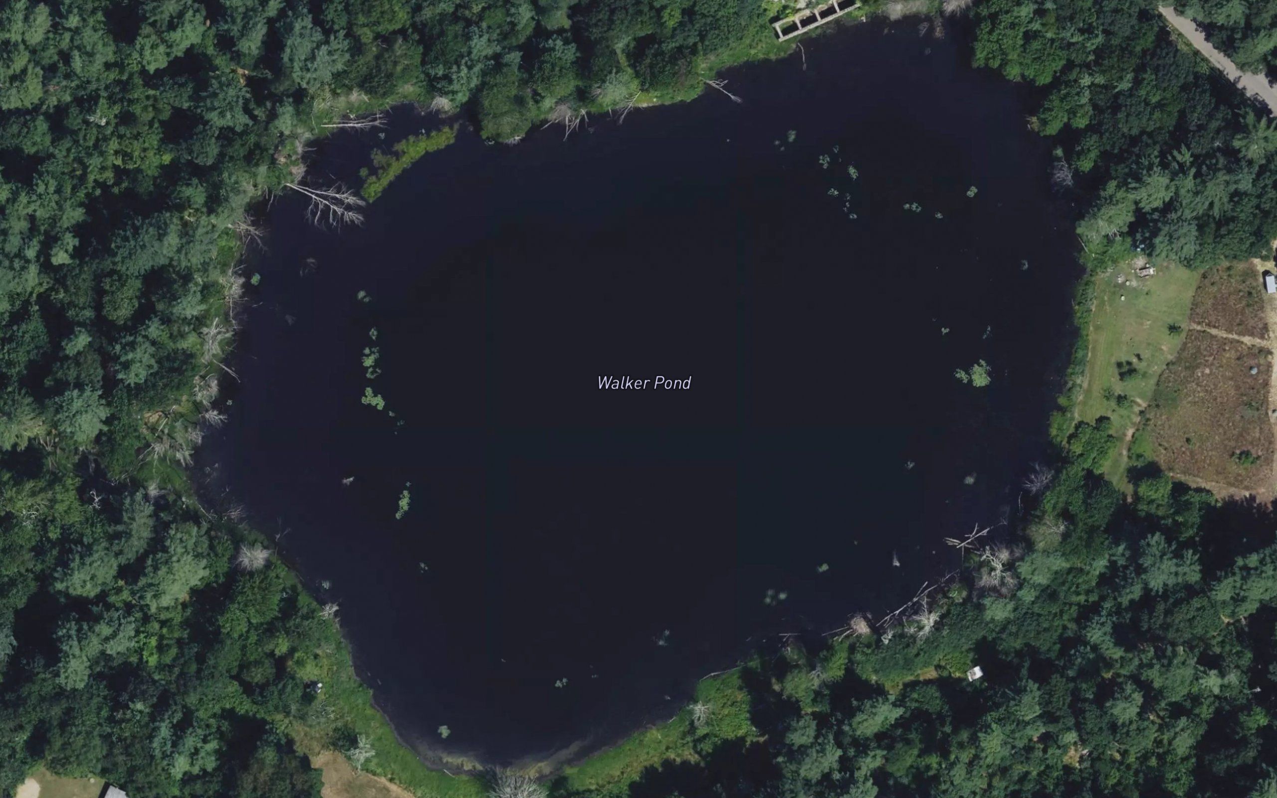 Walker Pond