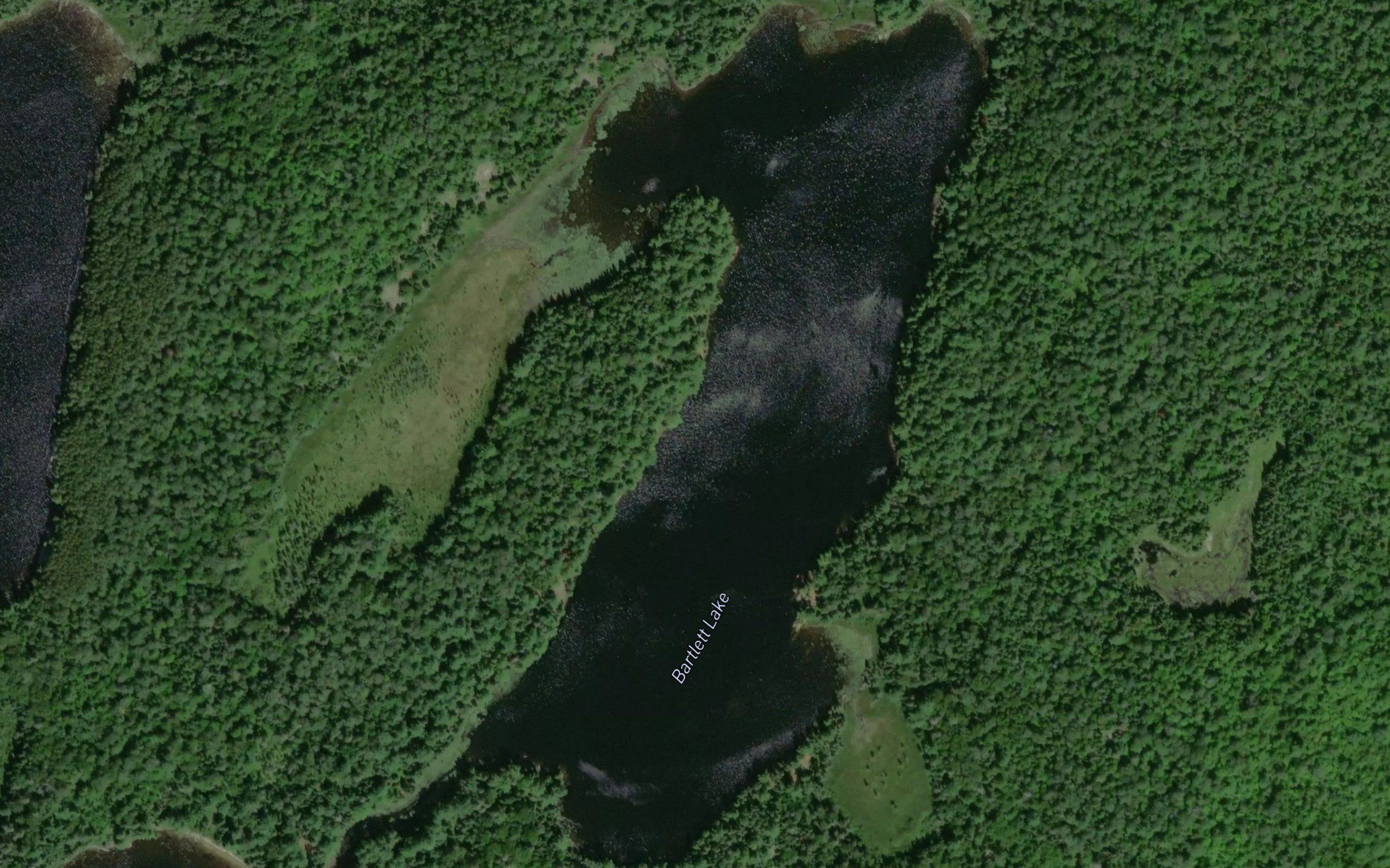 Bartlett Lake