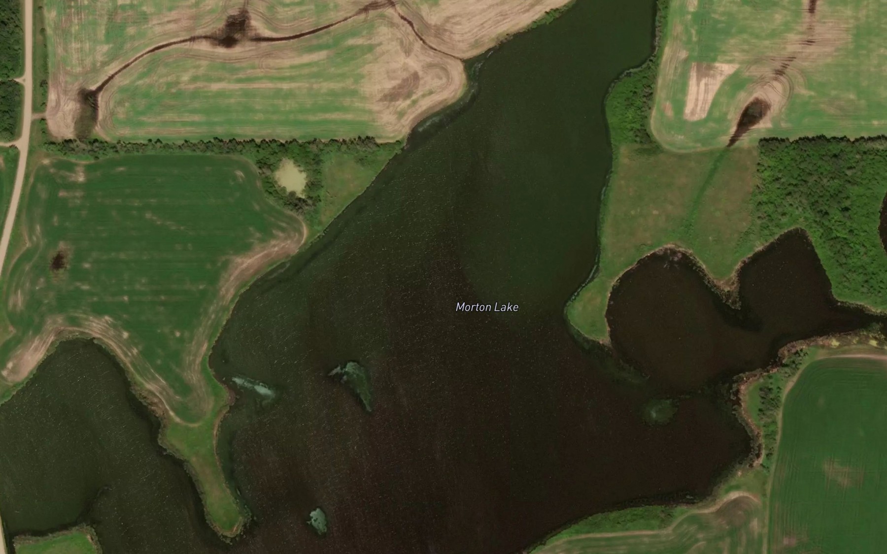 Satellite map of the Morton Lake