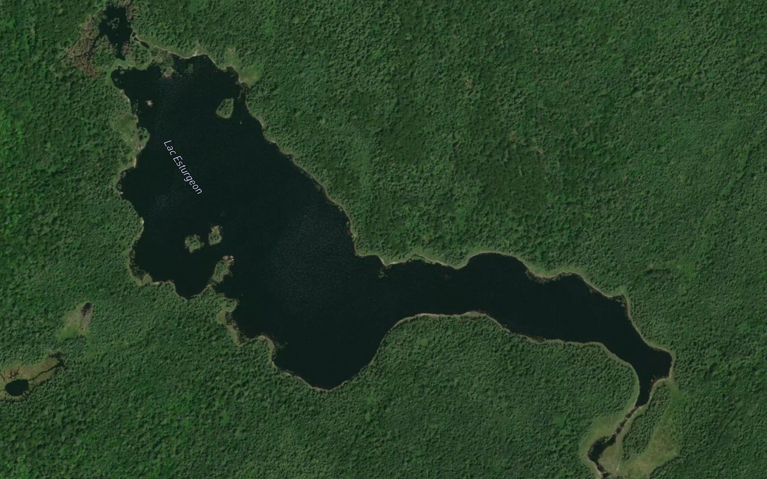 Lac Esturgeon