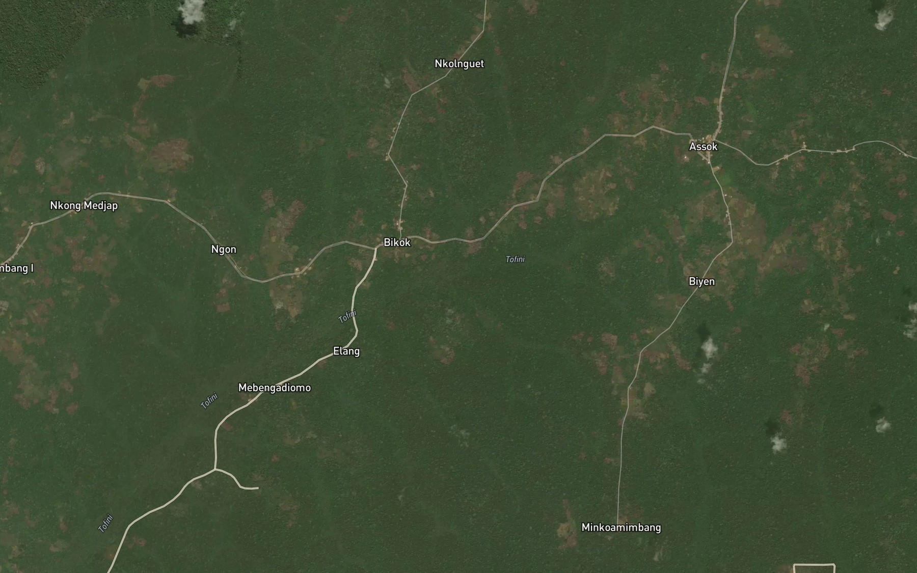 Satellite map of the Ngo