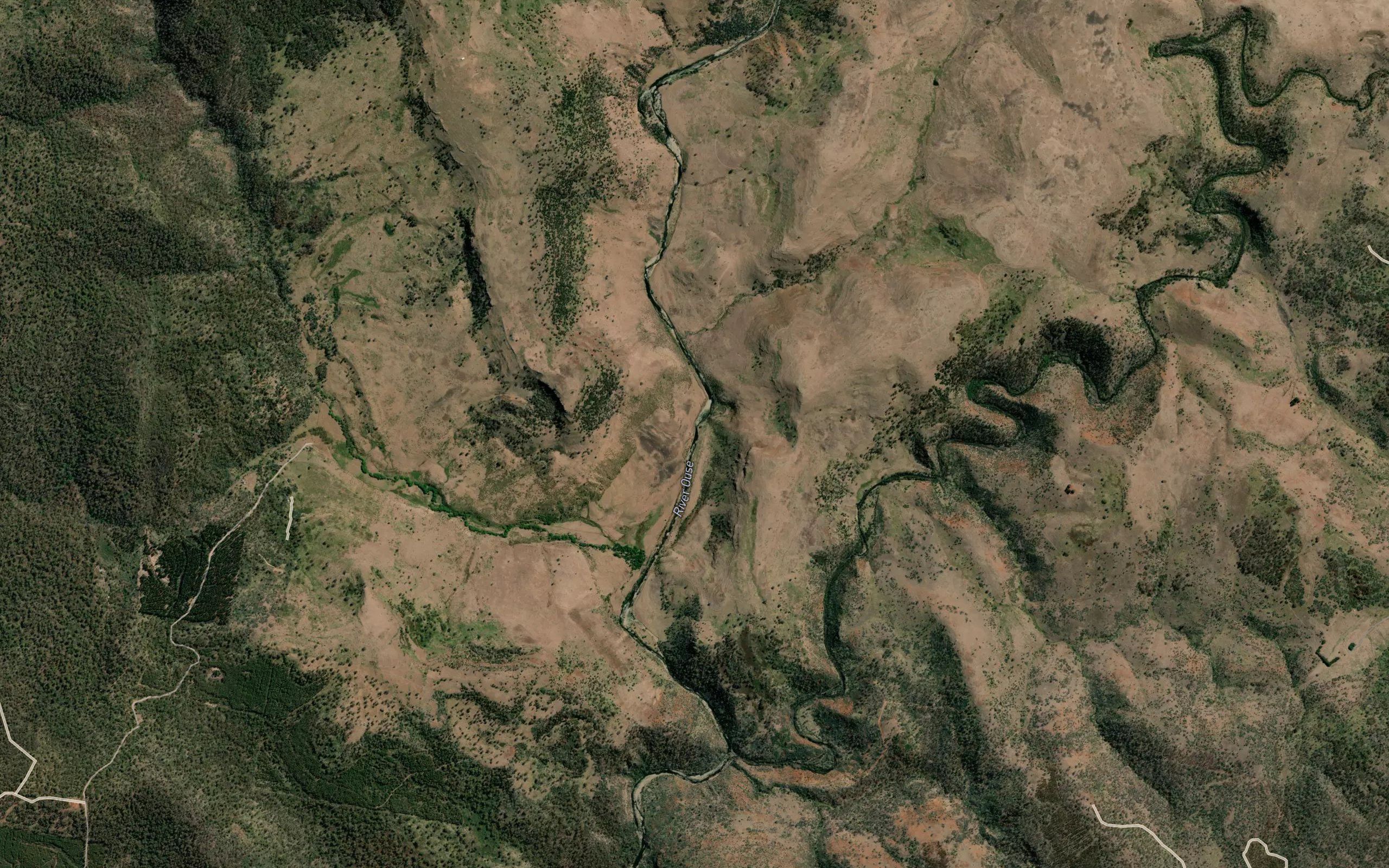 Boggy Marsh Rivulet