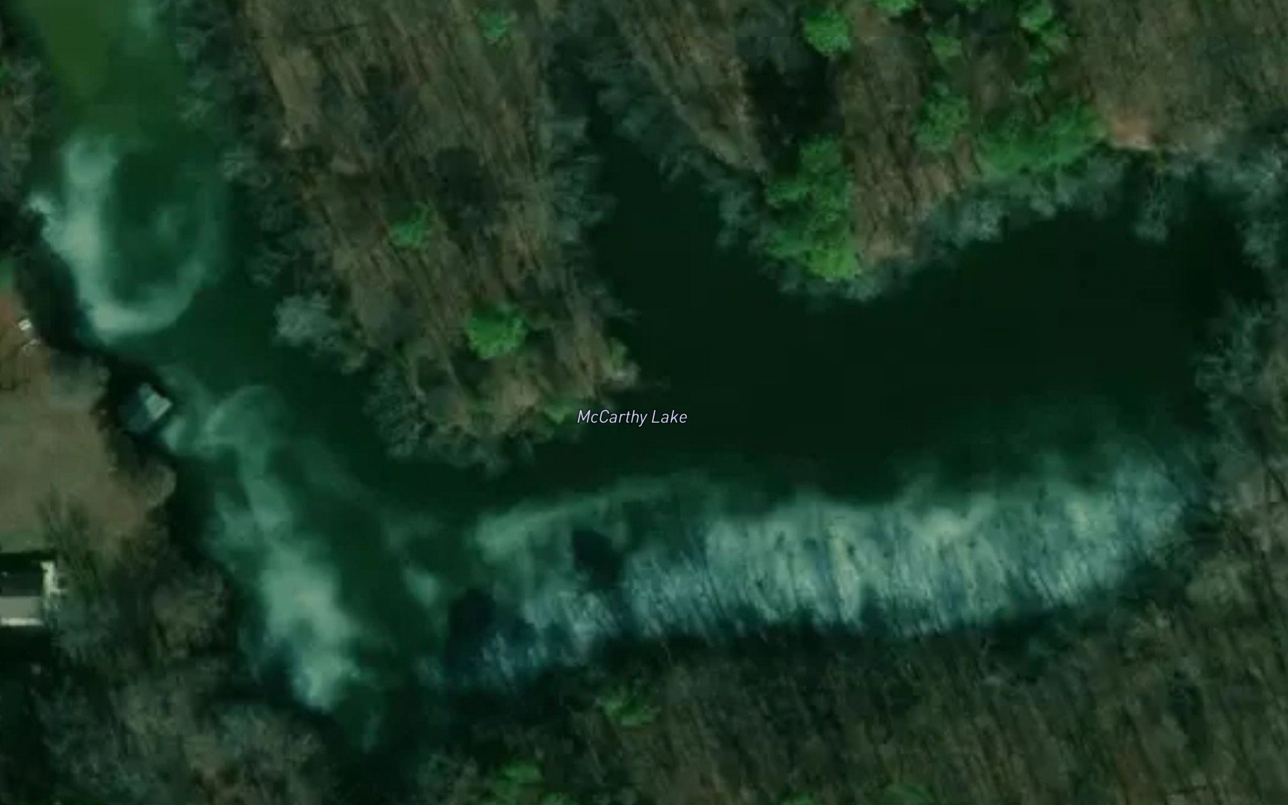 McCarthy Lake