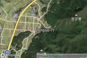 Jangsojeosuji