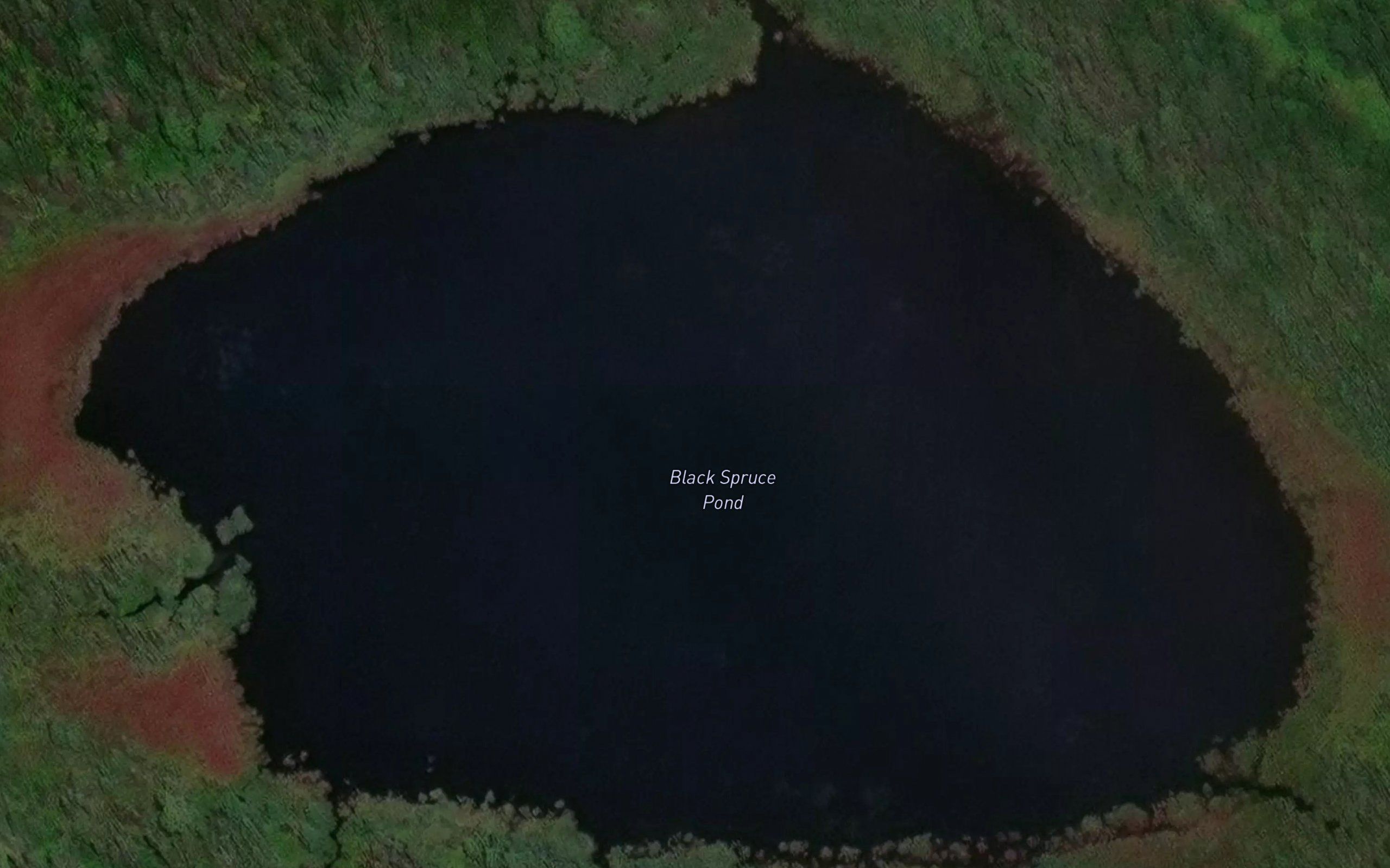 Black Spruce Pond