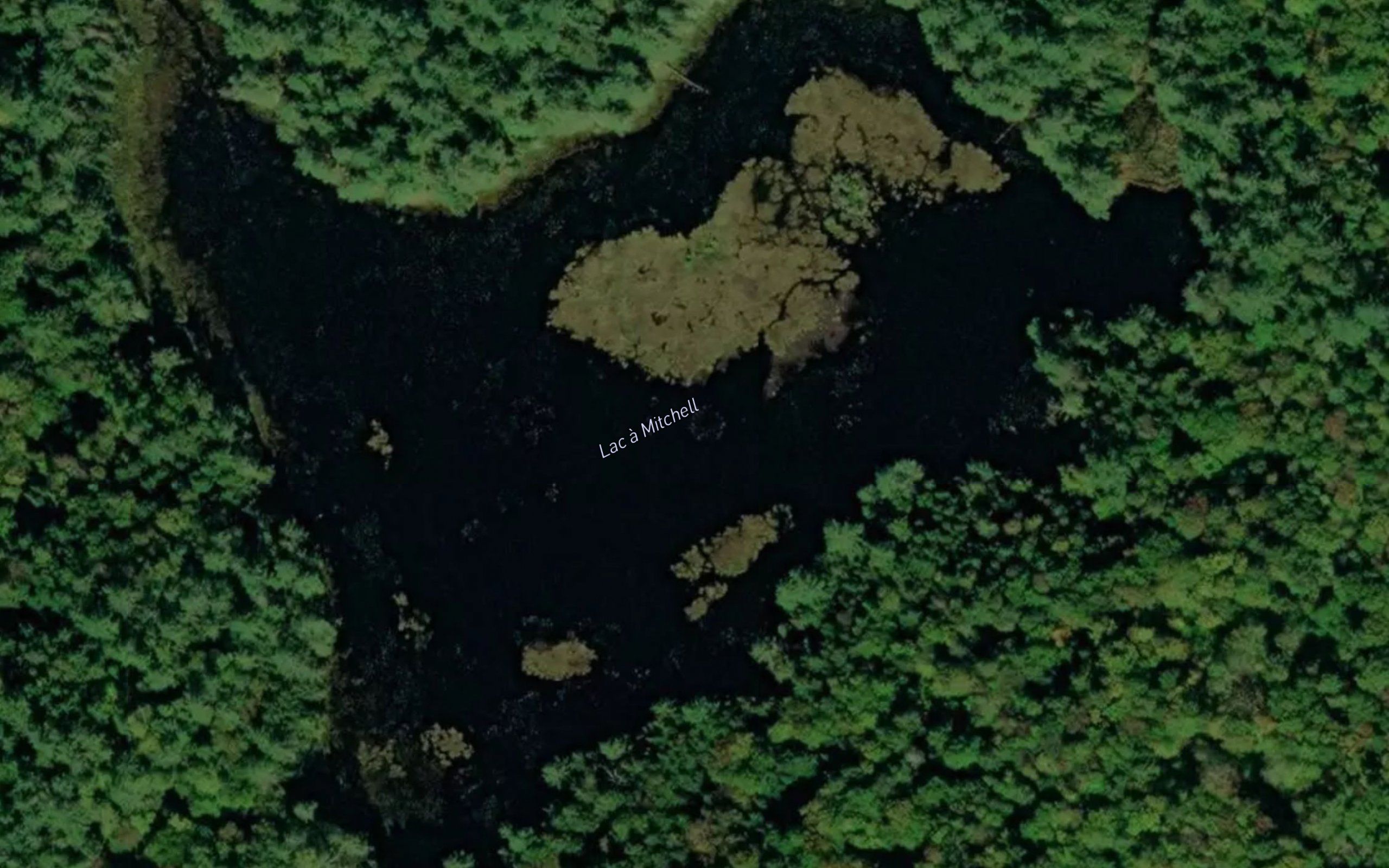 Lac a Mitchell
