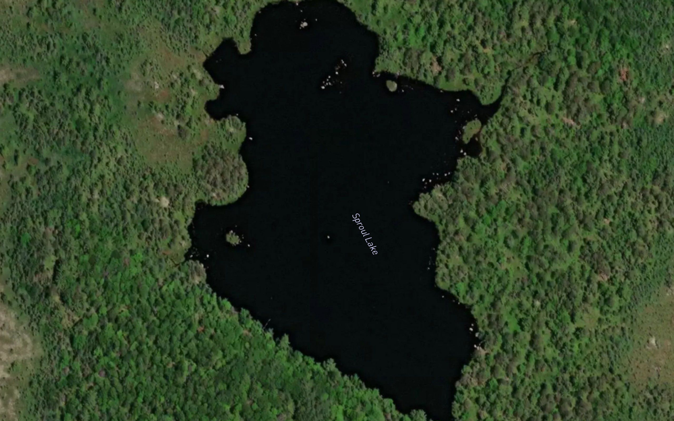 Sproul Lake