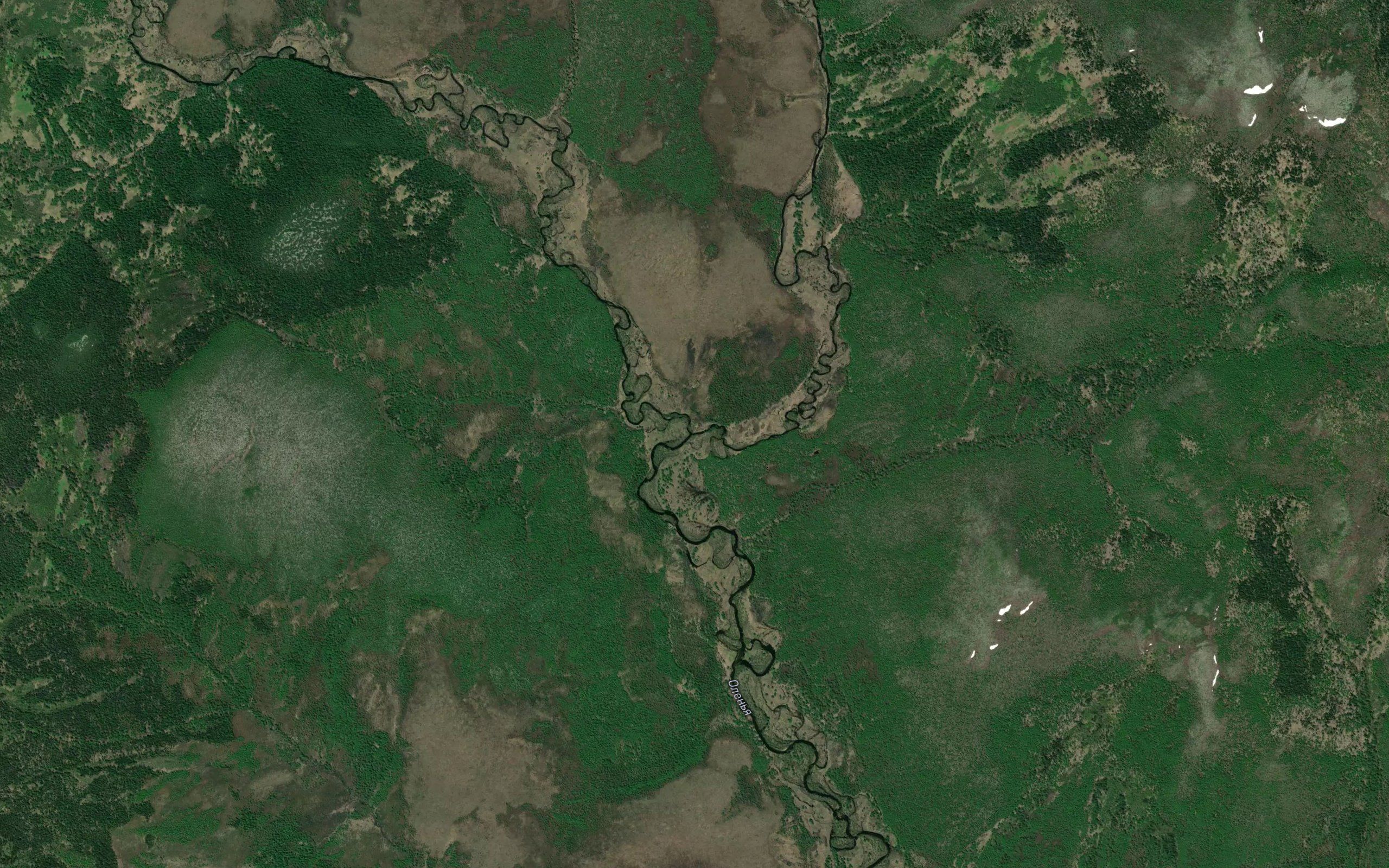 Tundrovaya