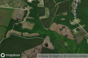 Lightwood Knot Branch