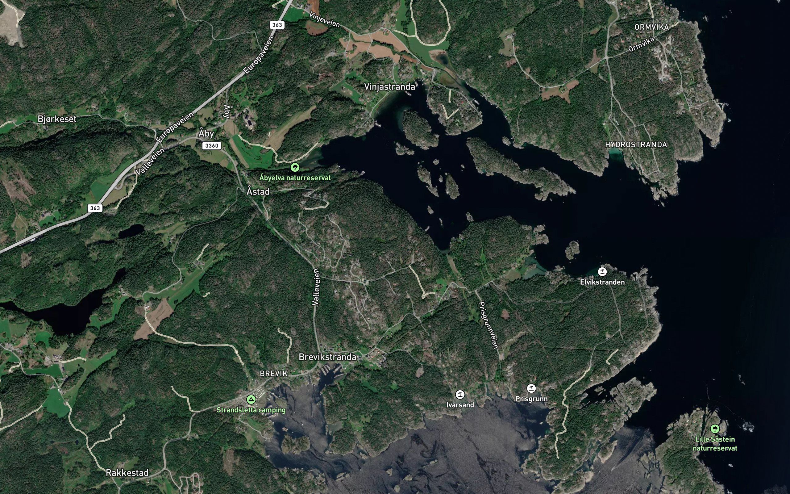 Sauoysund
