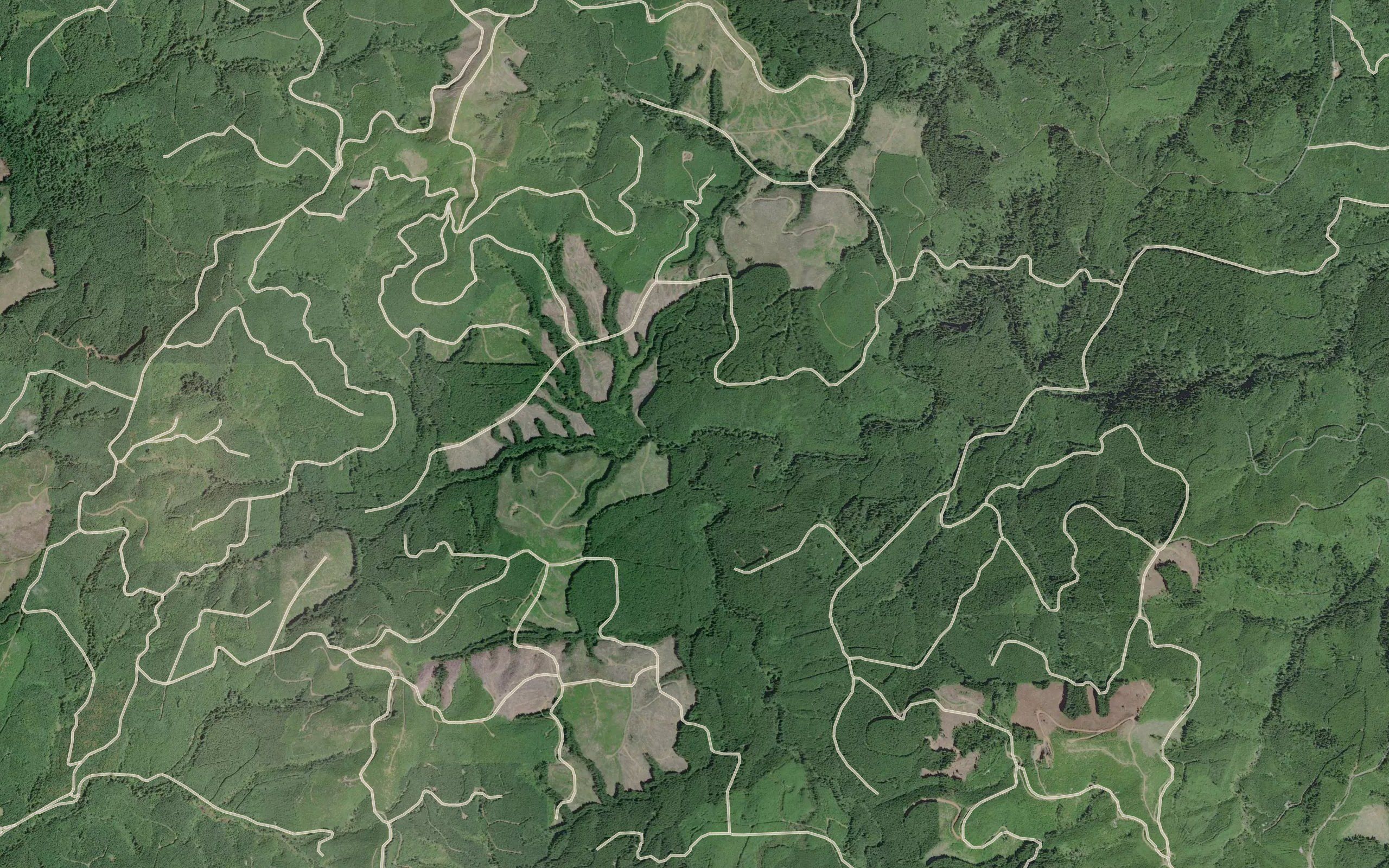 Minnie Creek